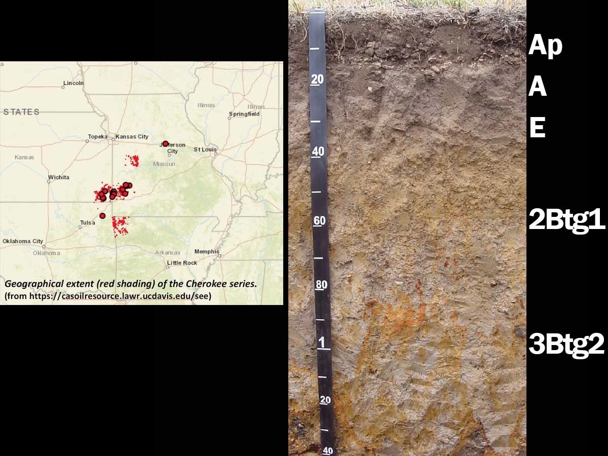 A geographical extent of the Cherokee series where this alfisols was found.