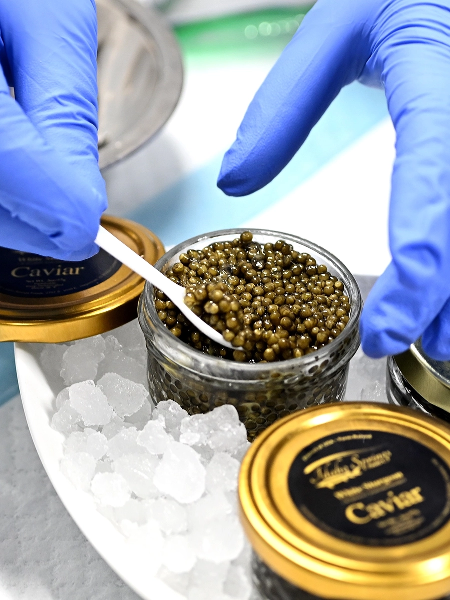 The hands of a worker wearing blue gloves are shown filling jars with olive- and brown-hued roe.