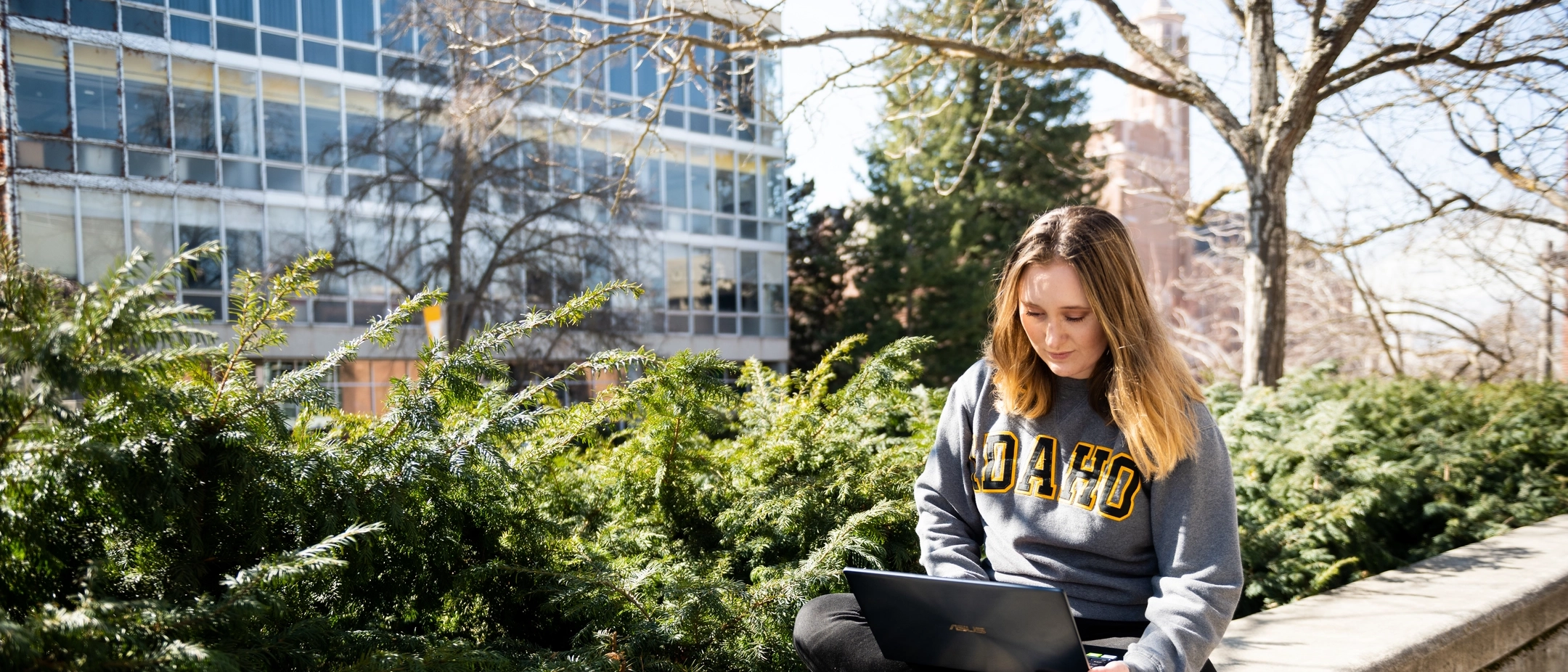 College of Letter Arts and Social Sciences student stock on campus