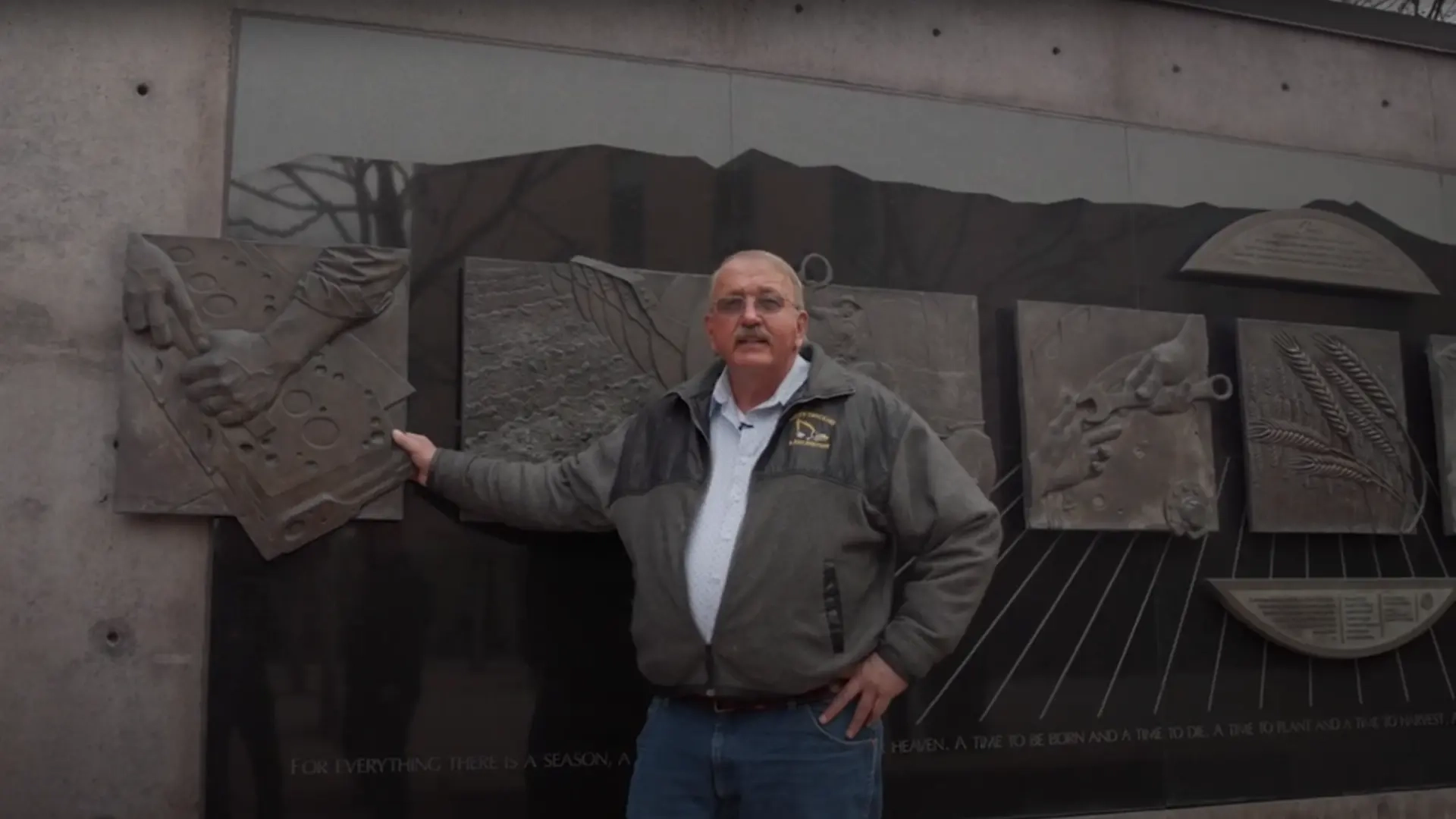 Video covers for dairy insurance and farmers stories