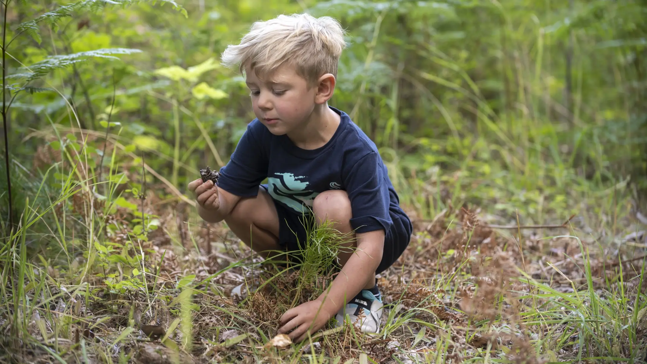 Students and faculty of the Calder School take part in an activity put on by the school and U of I's College of Natural Resources, including using CNR's logging simulator and learning from CNR faculty about forest industry careers. For UCM story about how U of I resources in Moscow, and the county Extension office in St. Maries, assists small, rural schools by bringing technology and lectures to them to aid their education. 