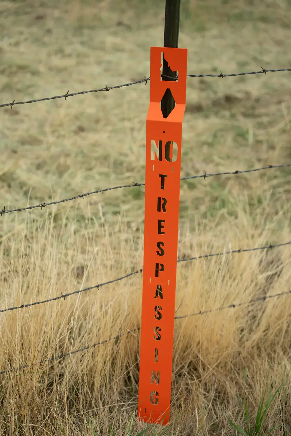 Bright orange fence sign reading "No Trespassing" attached to a barbed-wire fence in dry grass.