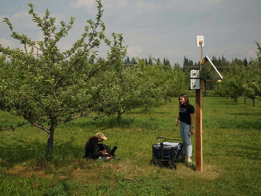 A student works on a computer under an apple tree while another student stands under a pole mounted solar powered weather monitoring system