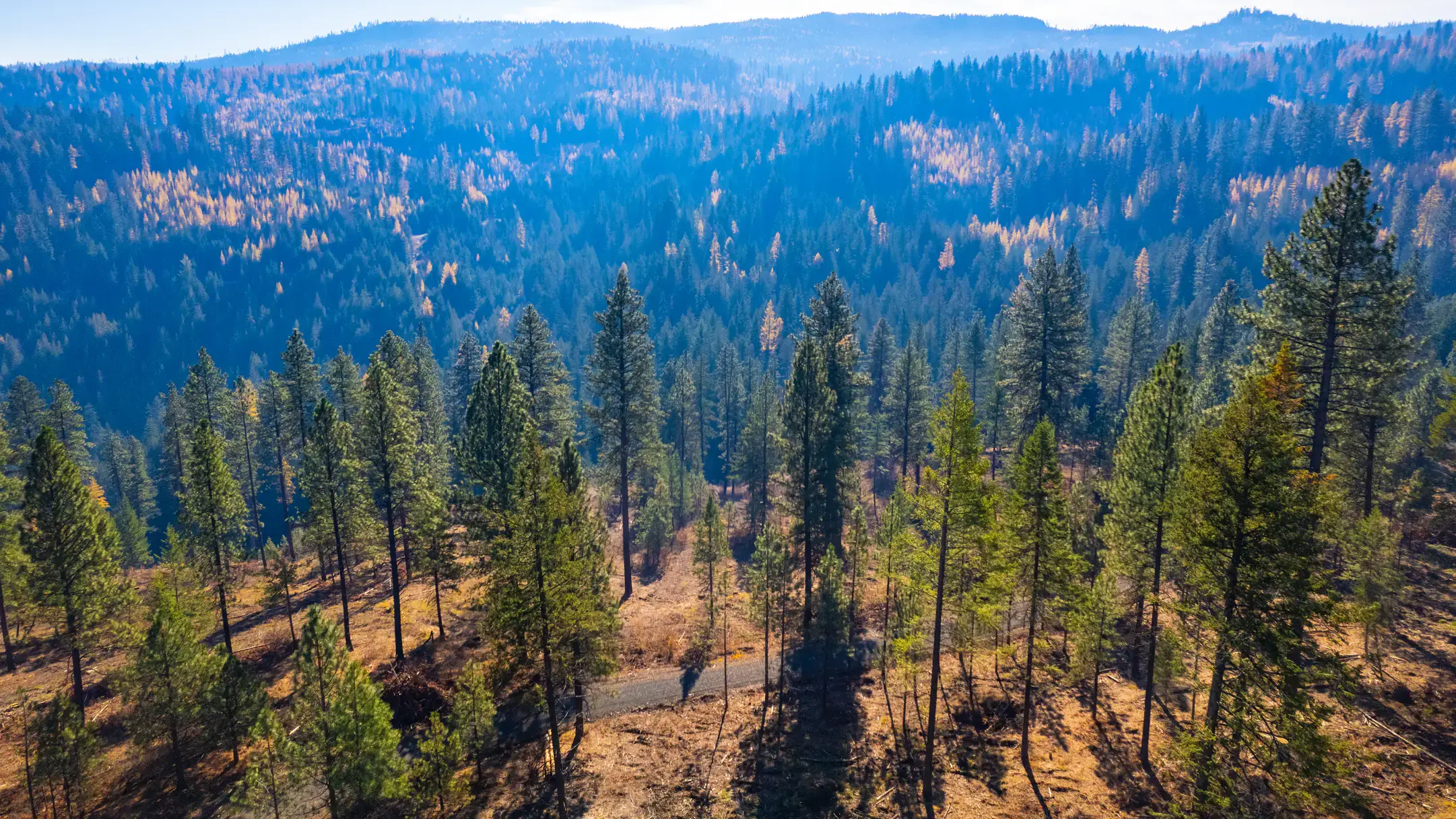 College of Natrual Resource University of Idaho Experimental Forest prescribed burn