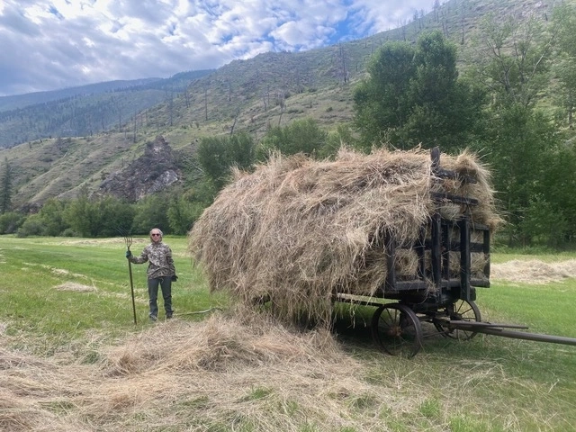 A person stands next to a wagon full of hay