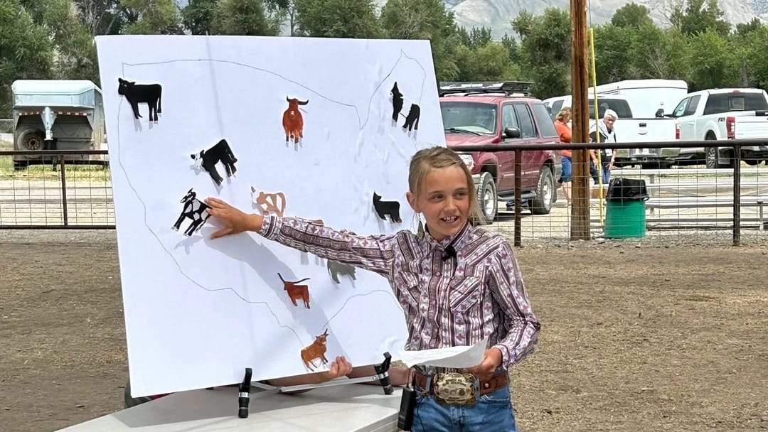 4-H photos and files located in counties
