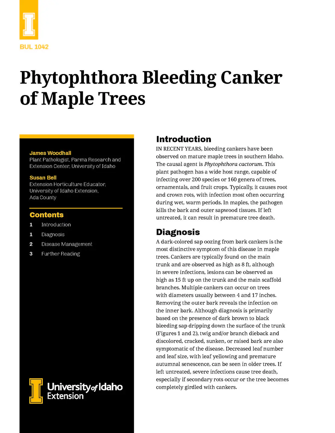 Phytophthora Bleeding Canker of Maple Trees | University of Idaho