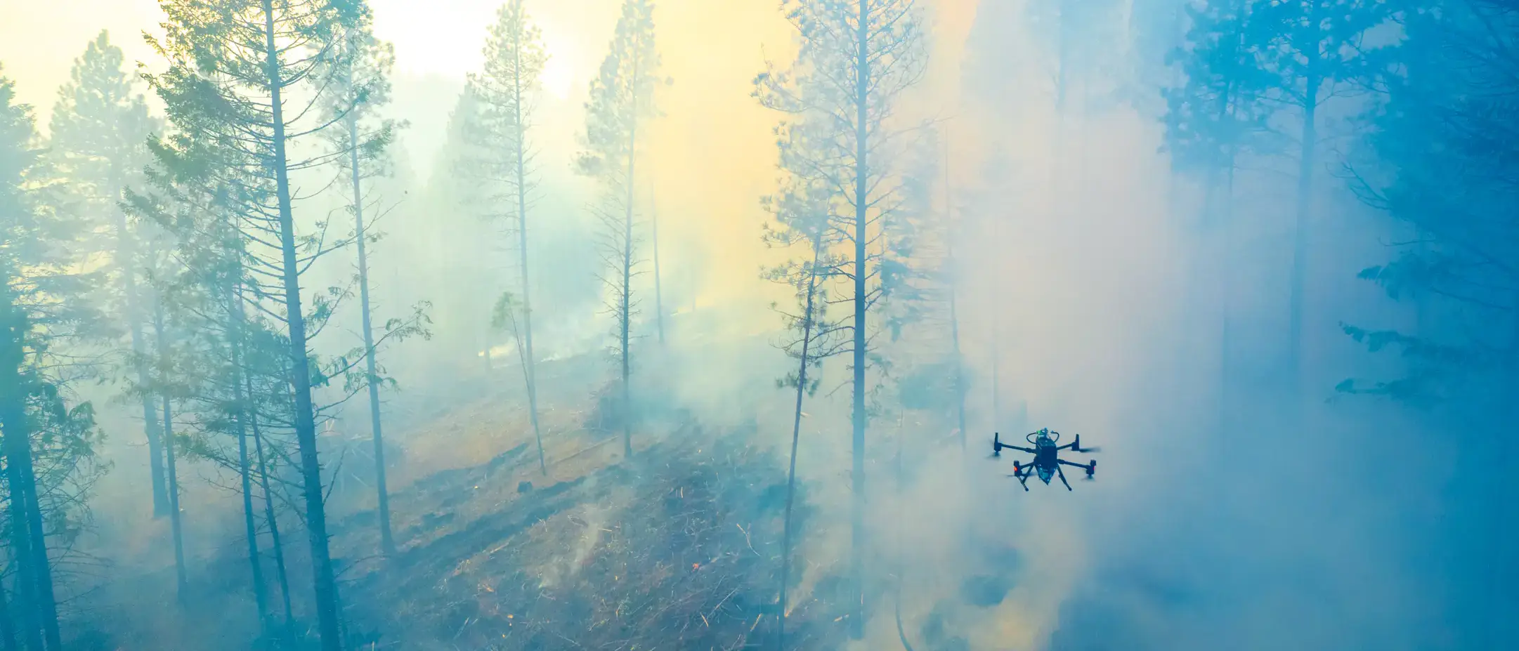 College of Natrual Resource University of Idaho Experimental Forest prescribed burn