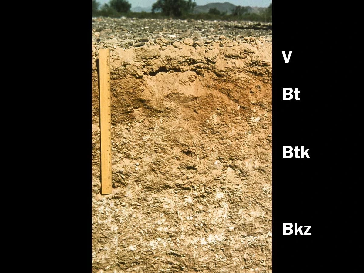 A photo showing aridisols of typic haplargid in central Arizona