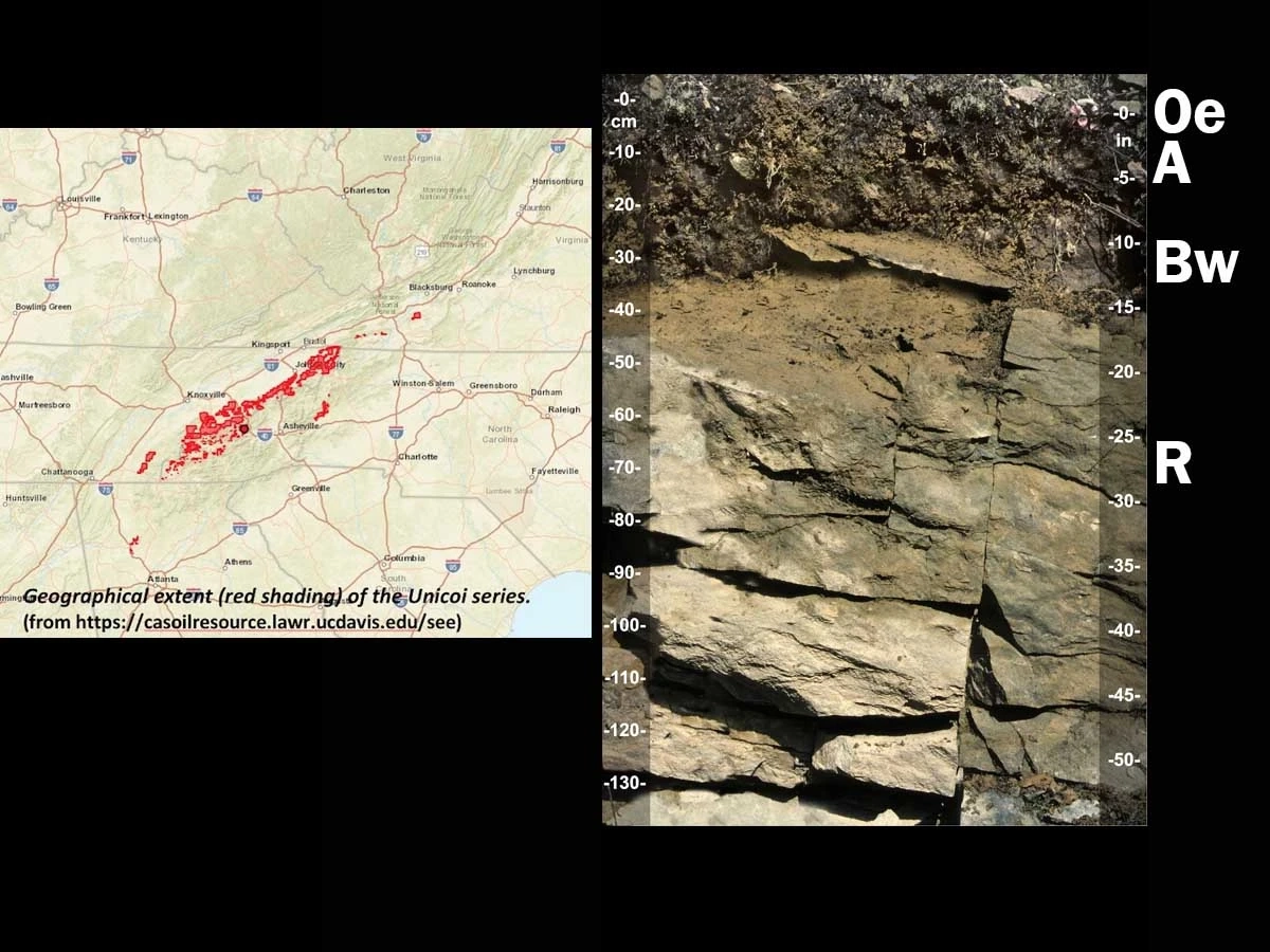 Lithic systrudept