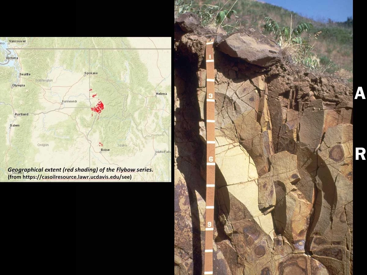 Entisols lithic xerorthent in Latah County