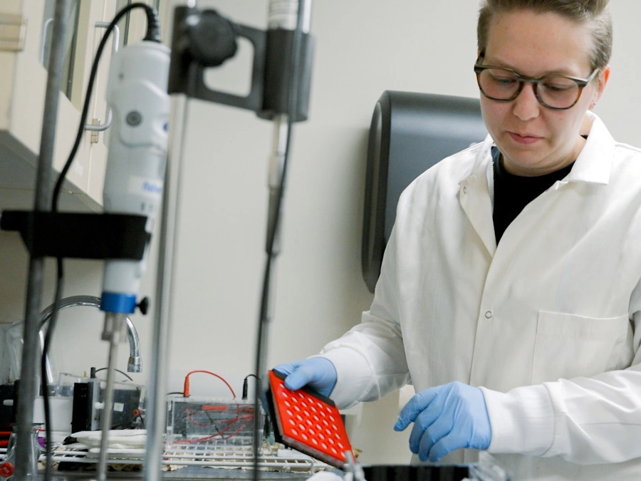 Student works with research materials to study tendon formation