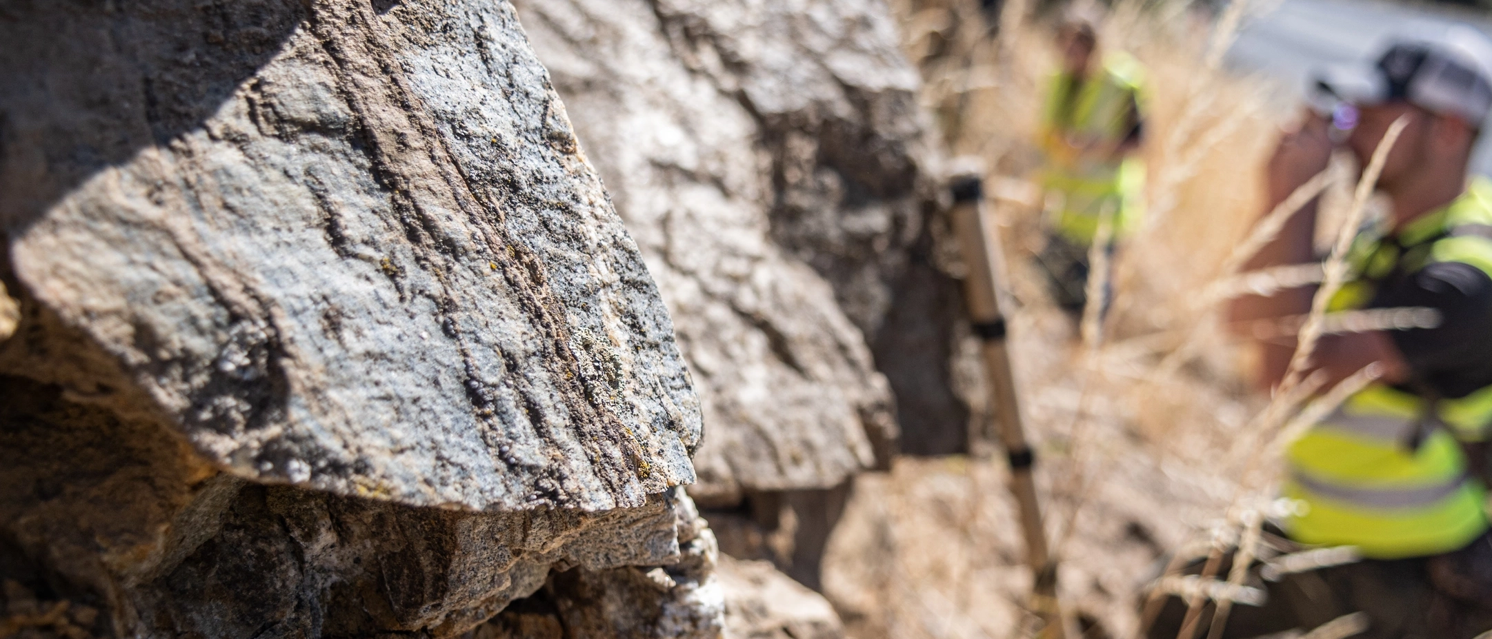 Faculty Elizabeth Cassel GEOL 324 class field trip to an outcrop of Belt Supergroup on Mill Rd.