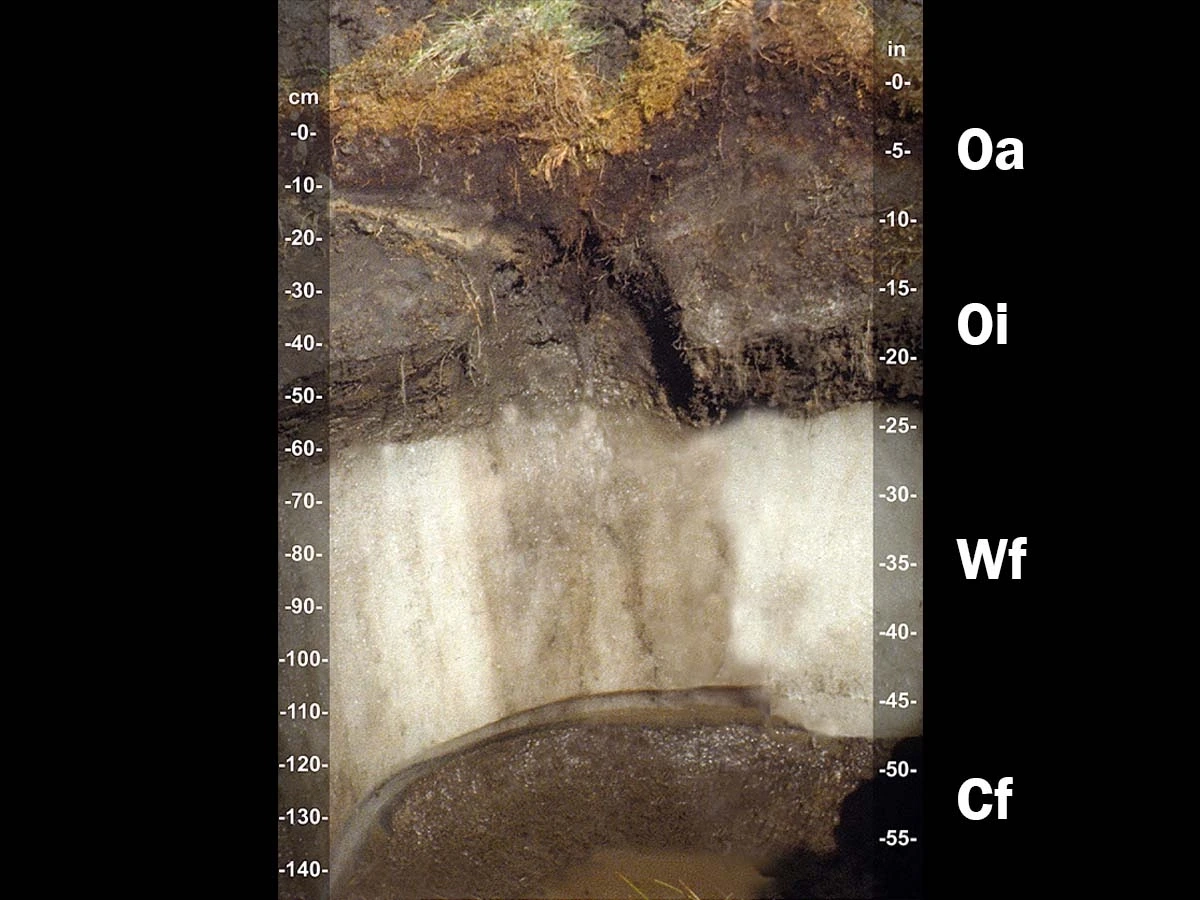 Glacistel layers of soil