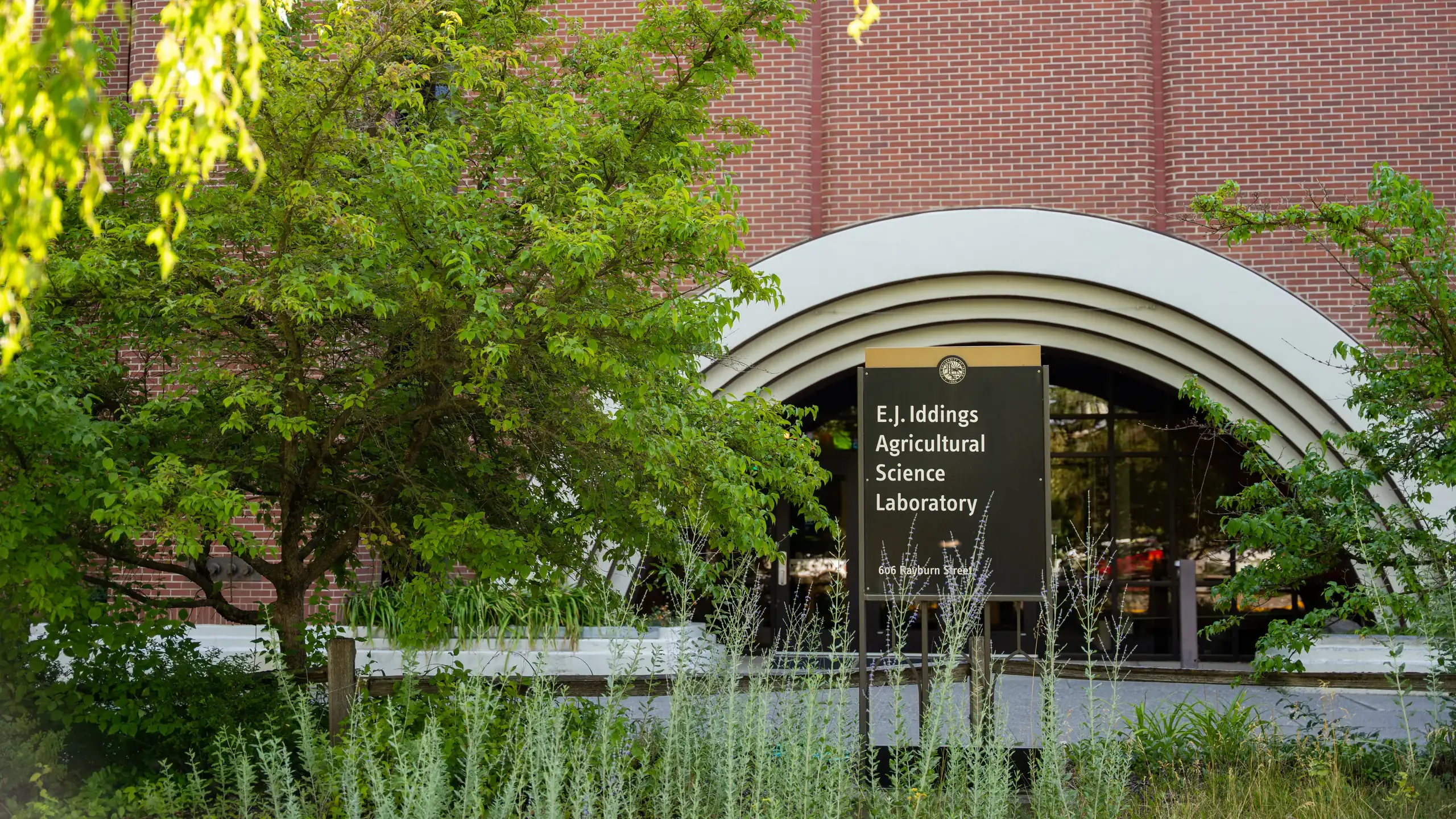 2024 summer seasonal photos of the University of Idaho campus in Moscow.