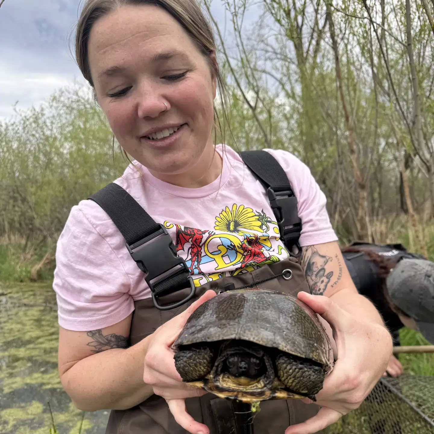 Woman wearing waders stands in marsh holding a turtle. 