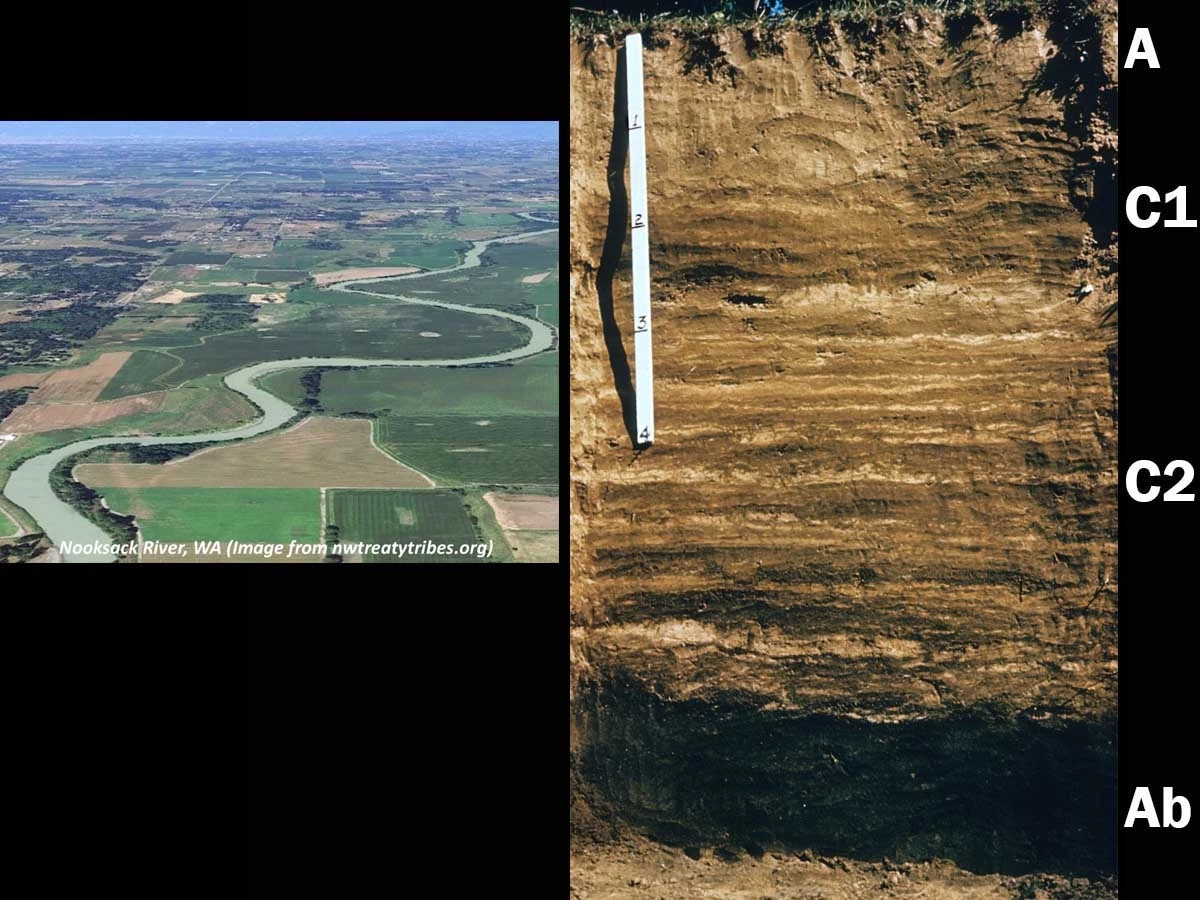 Entisols fluvent landscape and profile