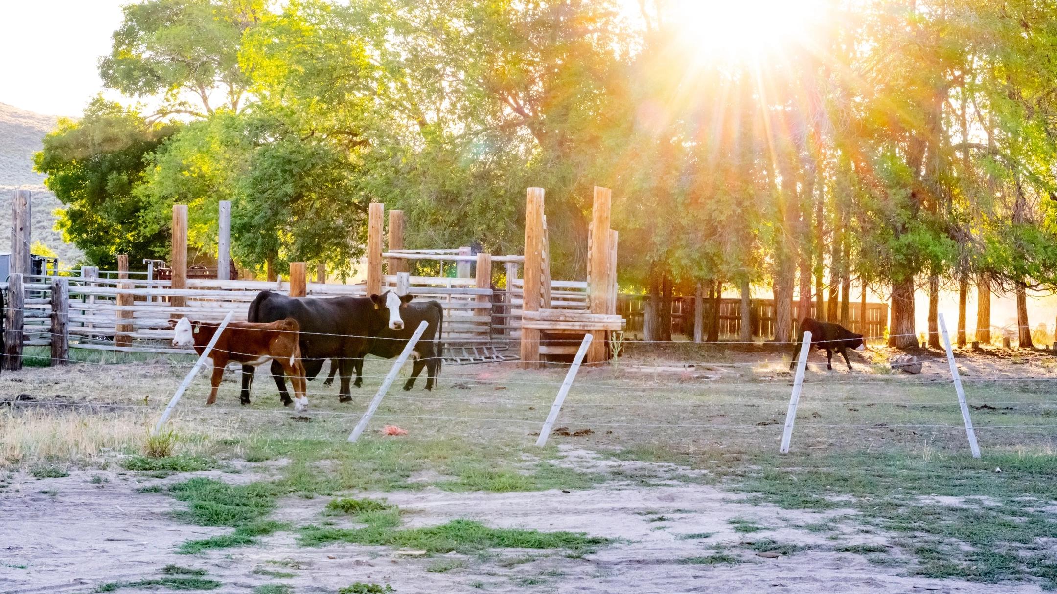 Education and Engagement at Rinker Rock Creek Ranch