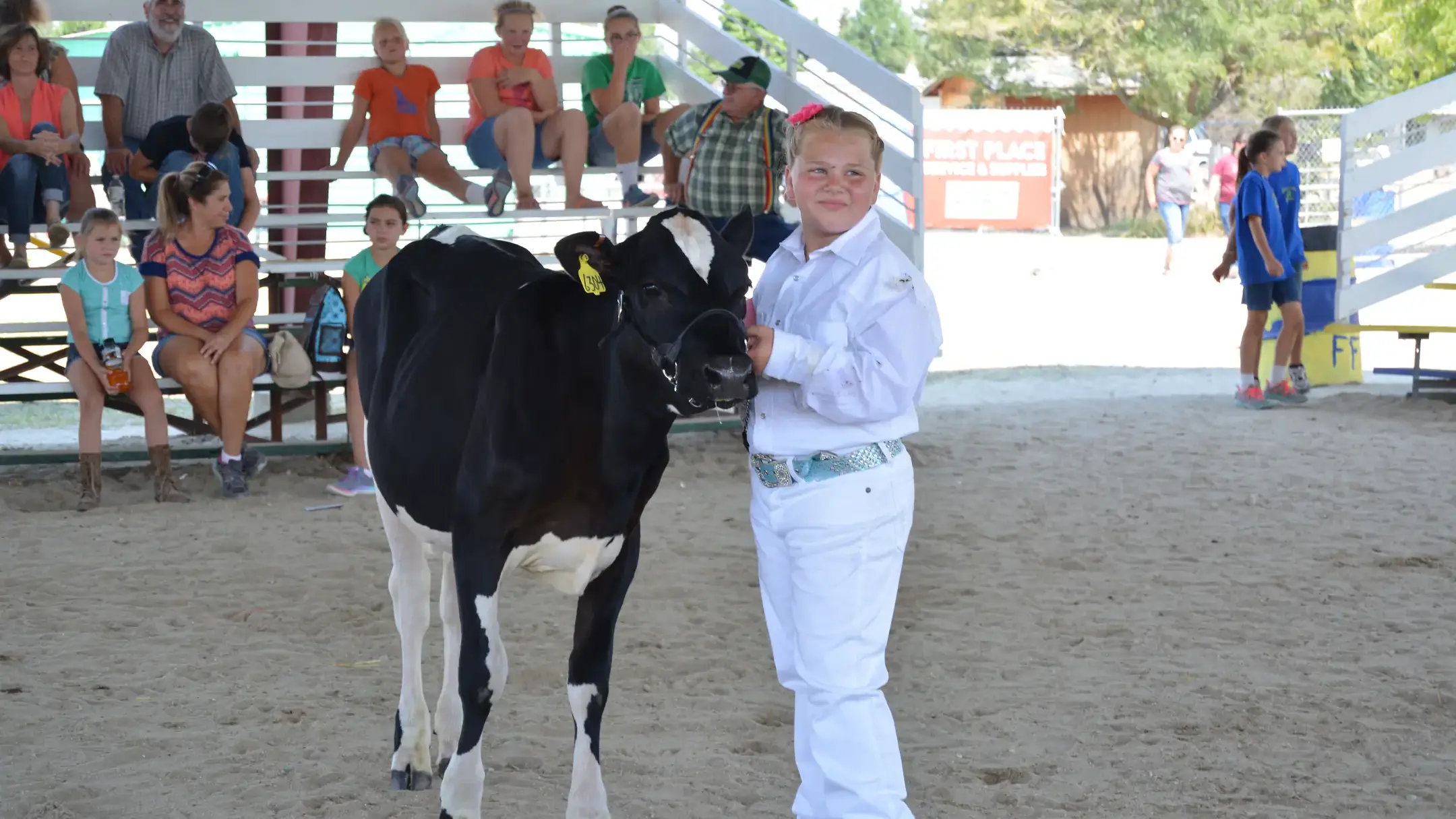 4-H youth photos across the state