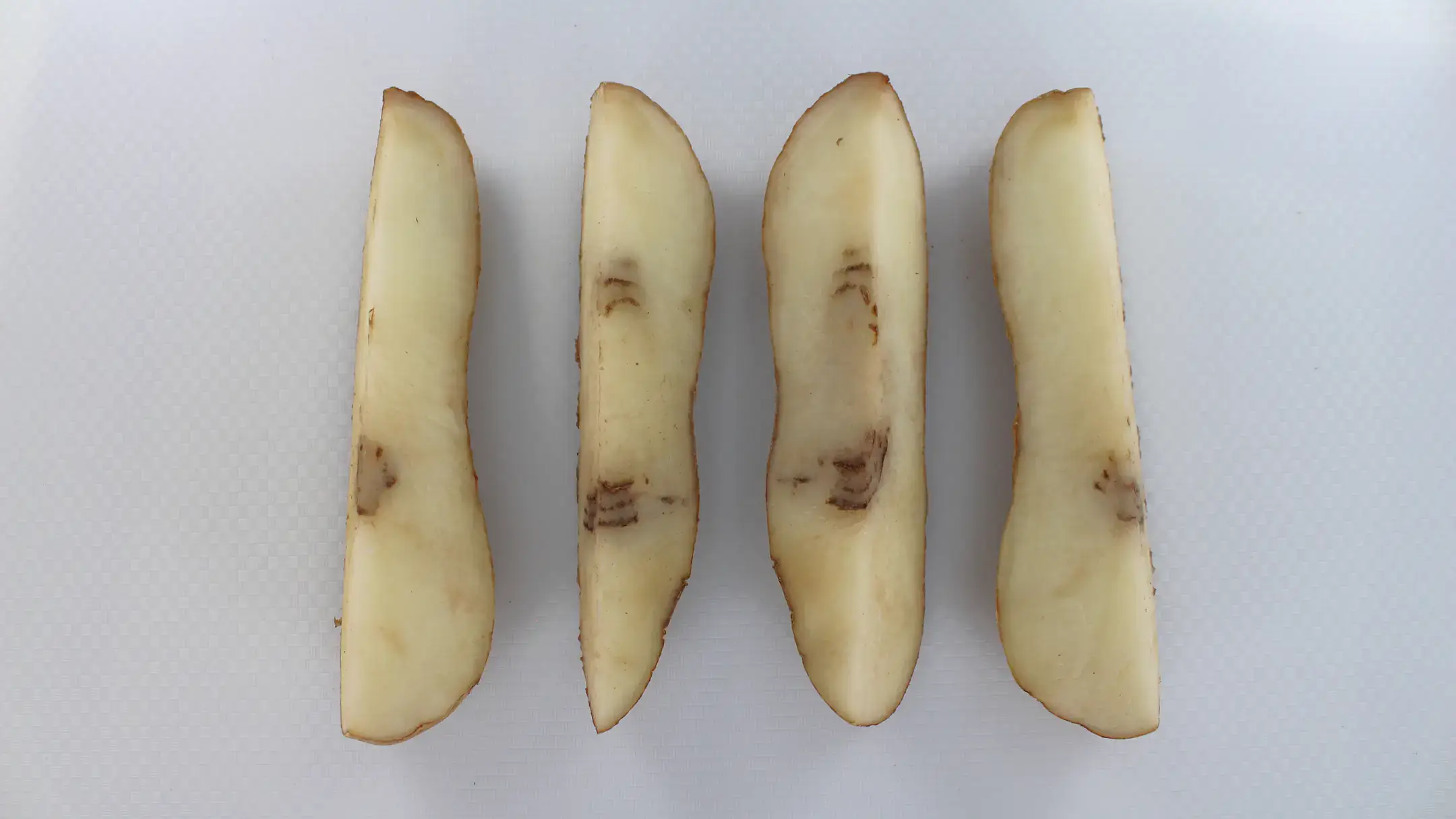 Four slices of potato showing internal discoloration on a white background.
