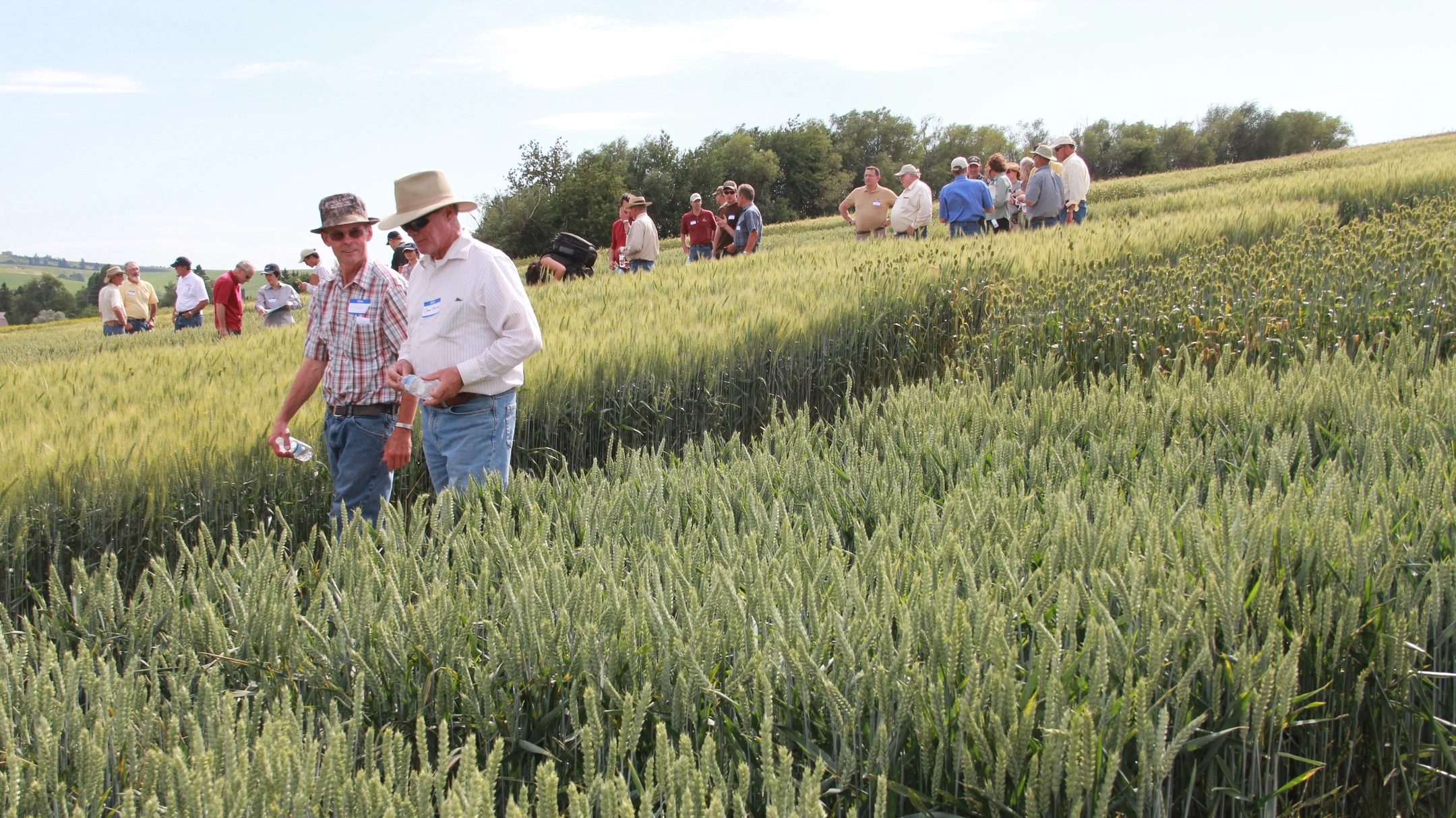 A large group inspects a field.