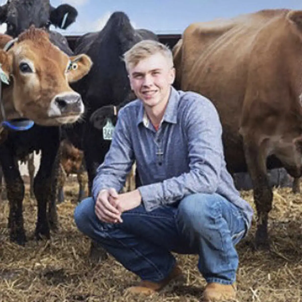 Young man crouching on straw-covered ground surrounded by dairy cows in an outdoor setting.