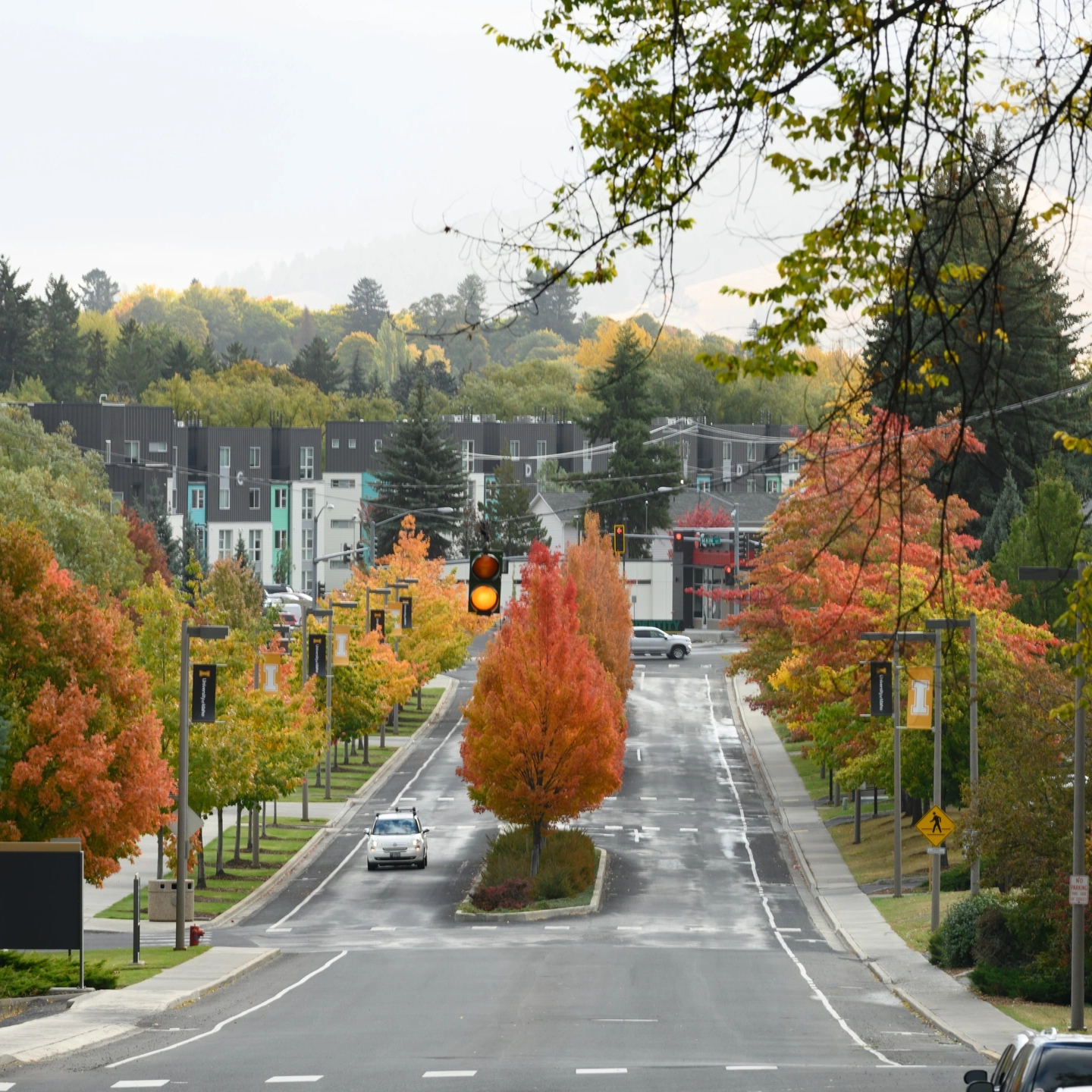 Unviersity of Idaho campus in the fall