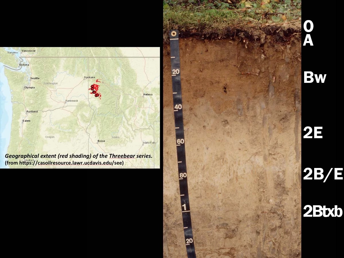 A map and photo of andisols that include a tap measure