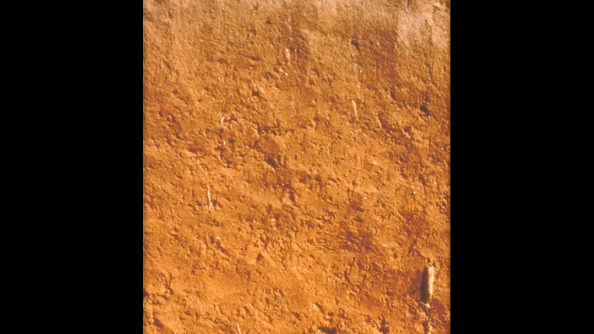 Oxisols layers of soil