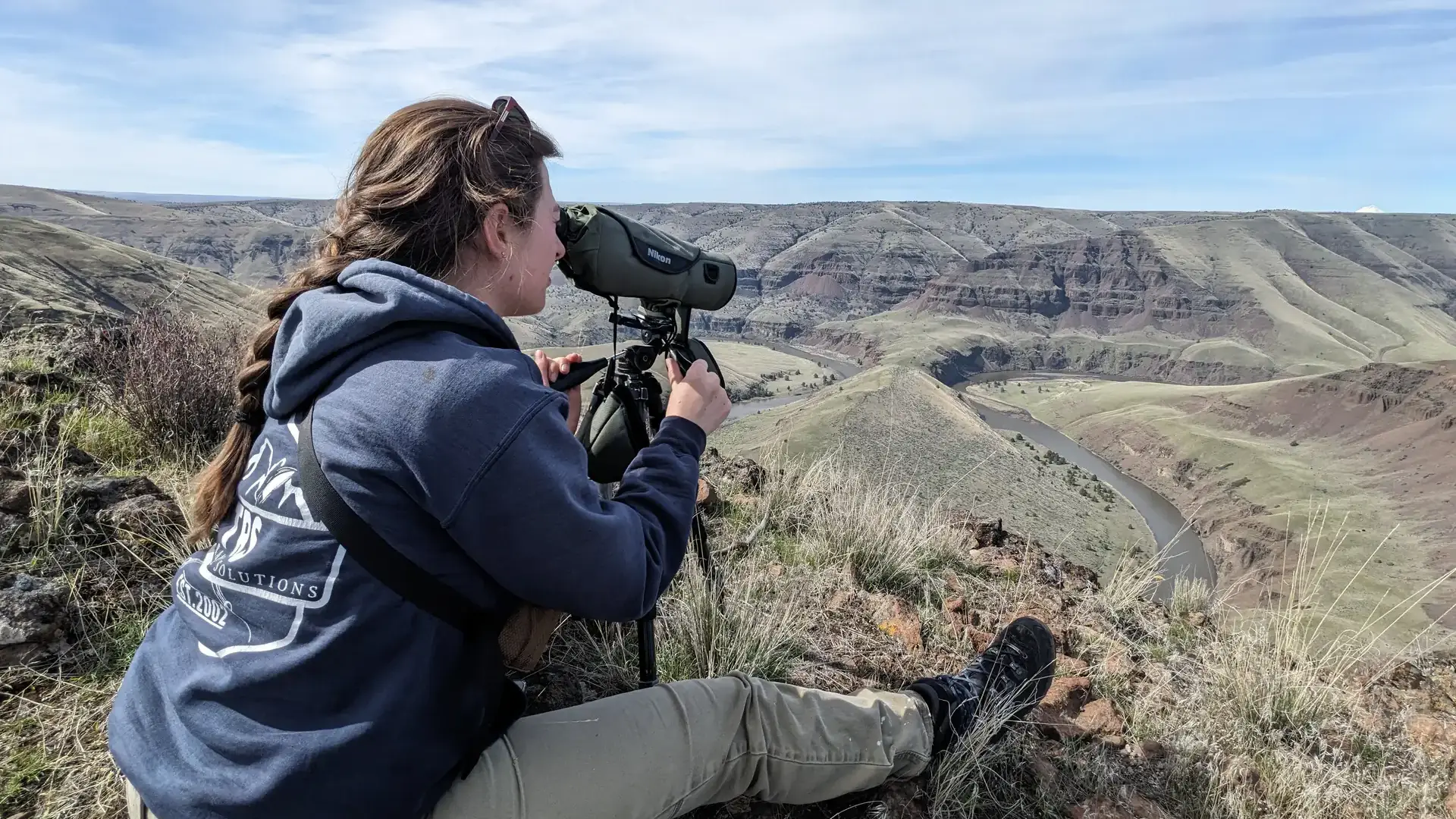 College of Natural Resources graduate student and researcher Alexis Means observes a herd of bighorn sheep to study how they utilize the foodscape across the John Day River canyon in Oregon.