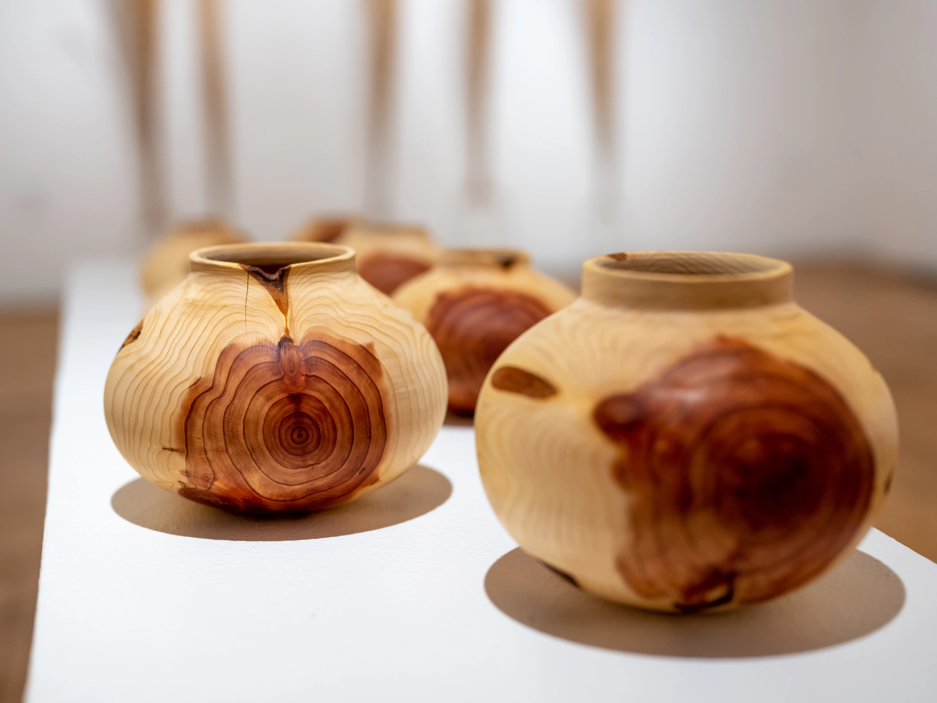 College of Art and Architecutre Master of Fine Art exhibition