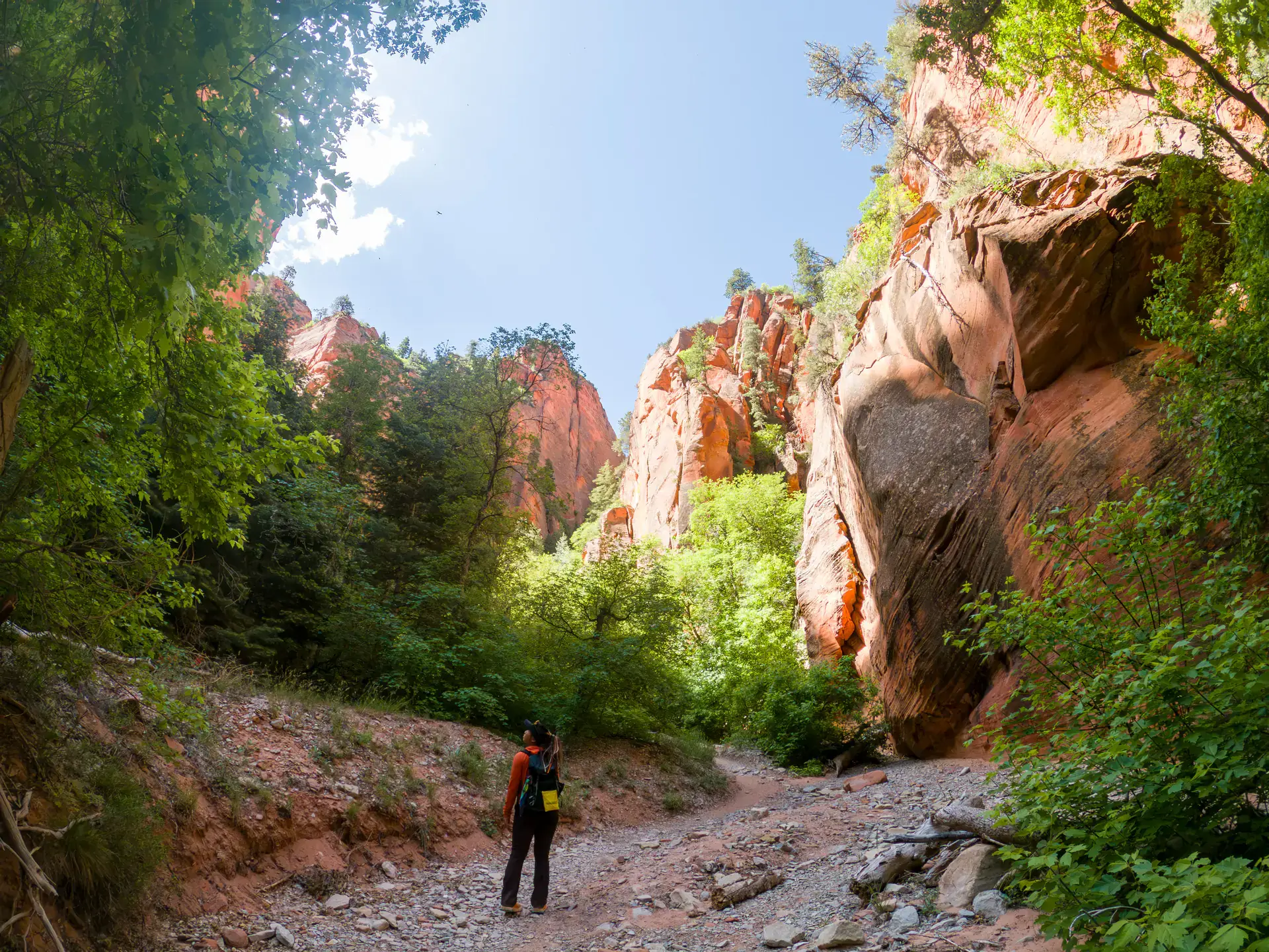 Geology Field Camp is a 2 week course that happens every year and is required at U of I to get a Geology degree.