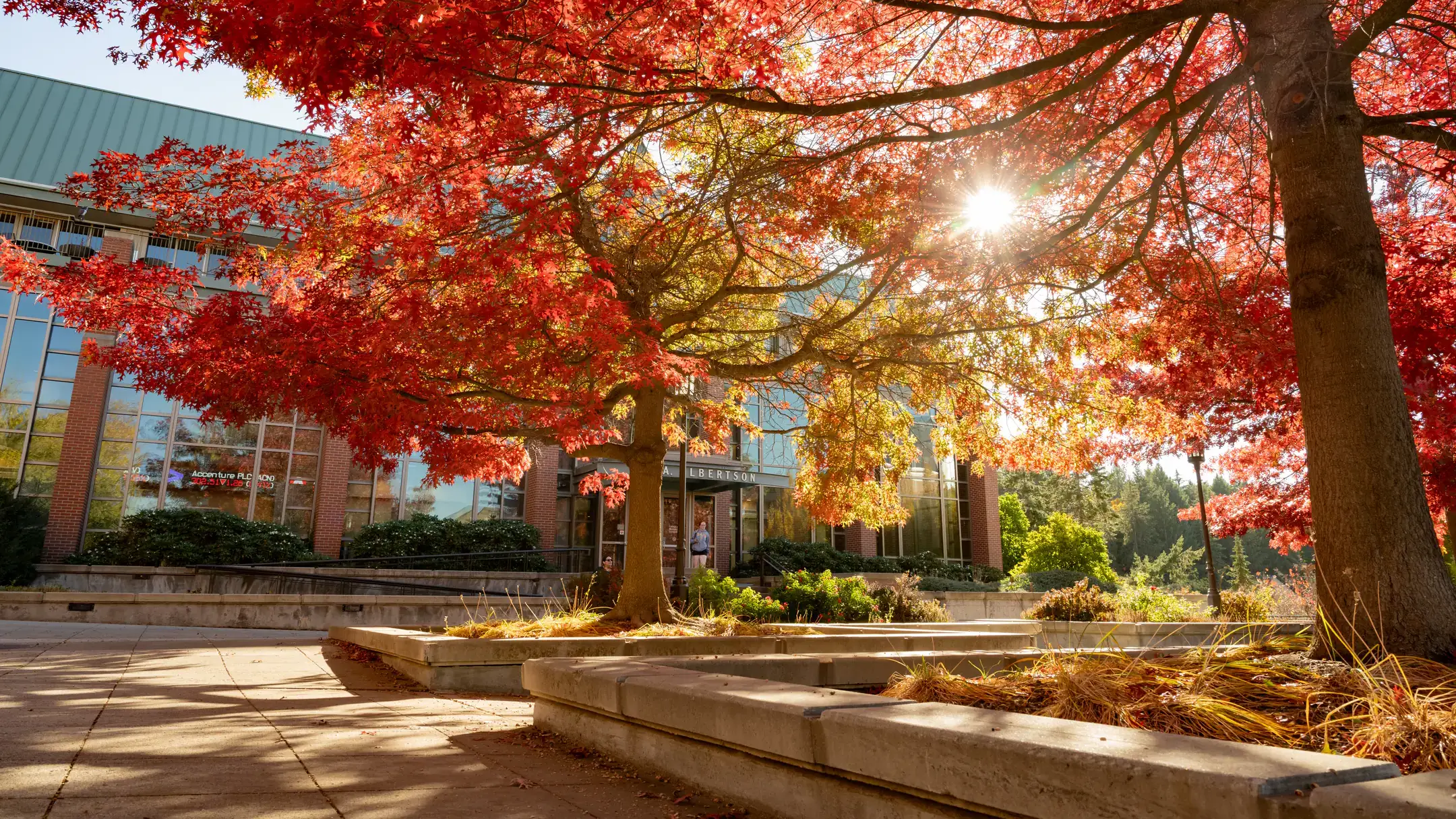 University of Idaho Moscow campus seasonal campus photos in the fall.
