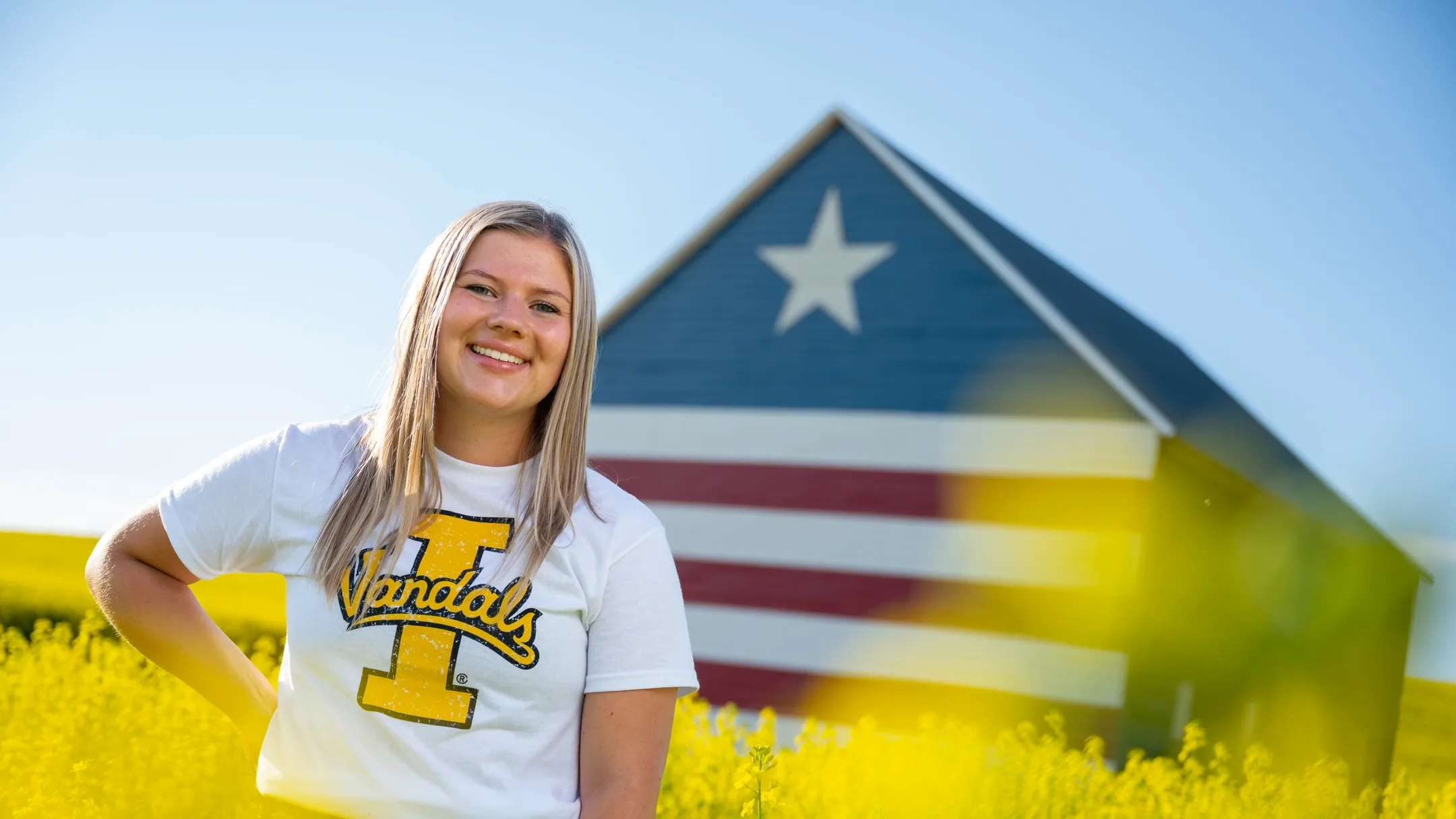 Student Impact feature for Direct Mailers