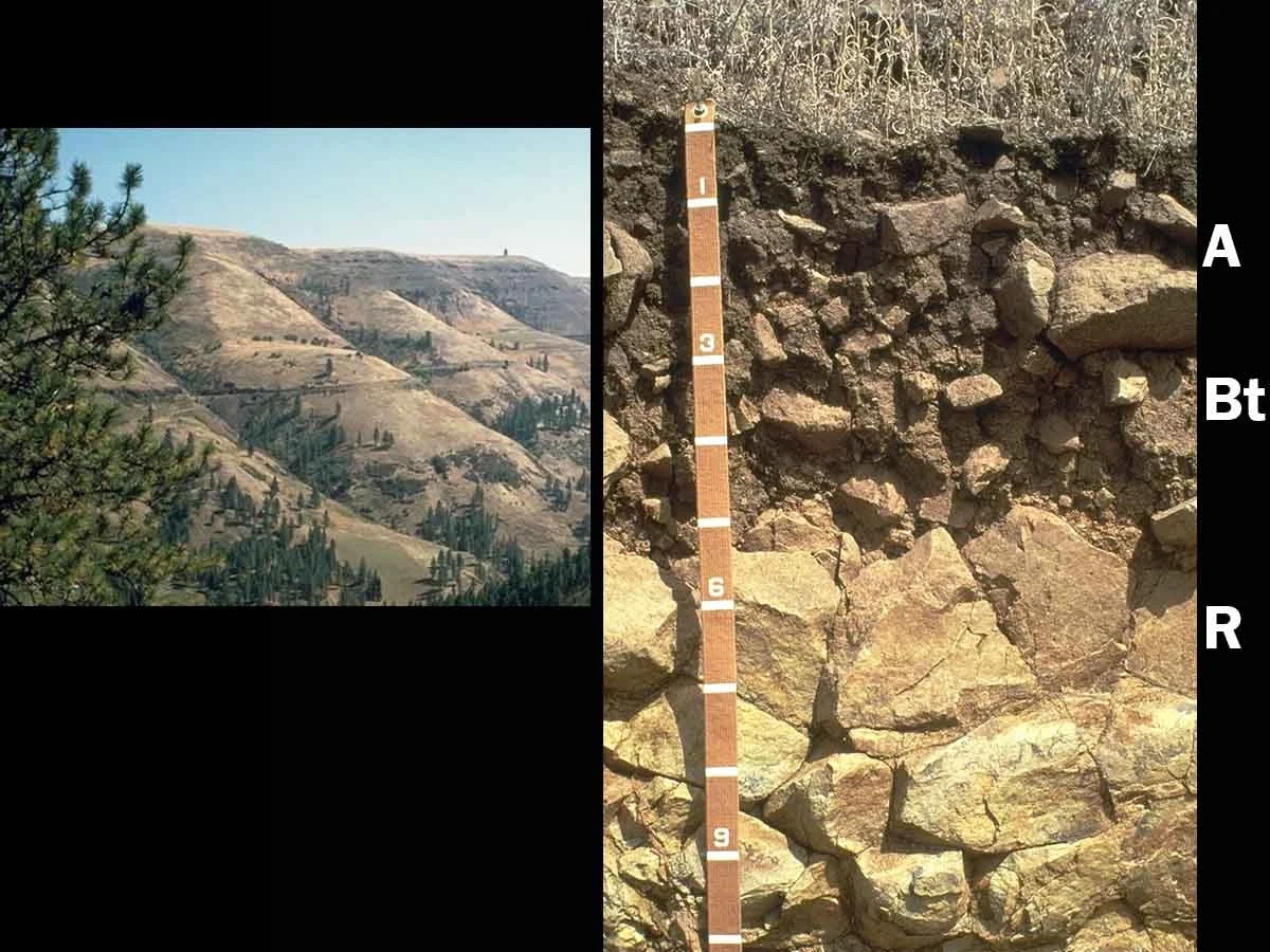 Lithic argixeroll in Nez Perce