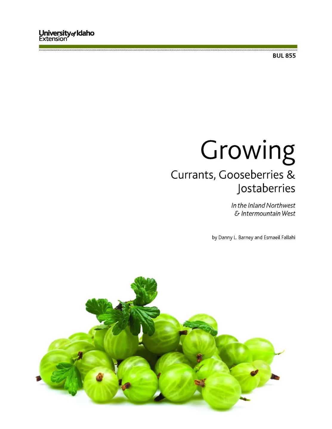bul-0855 cover