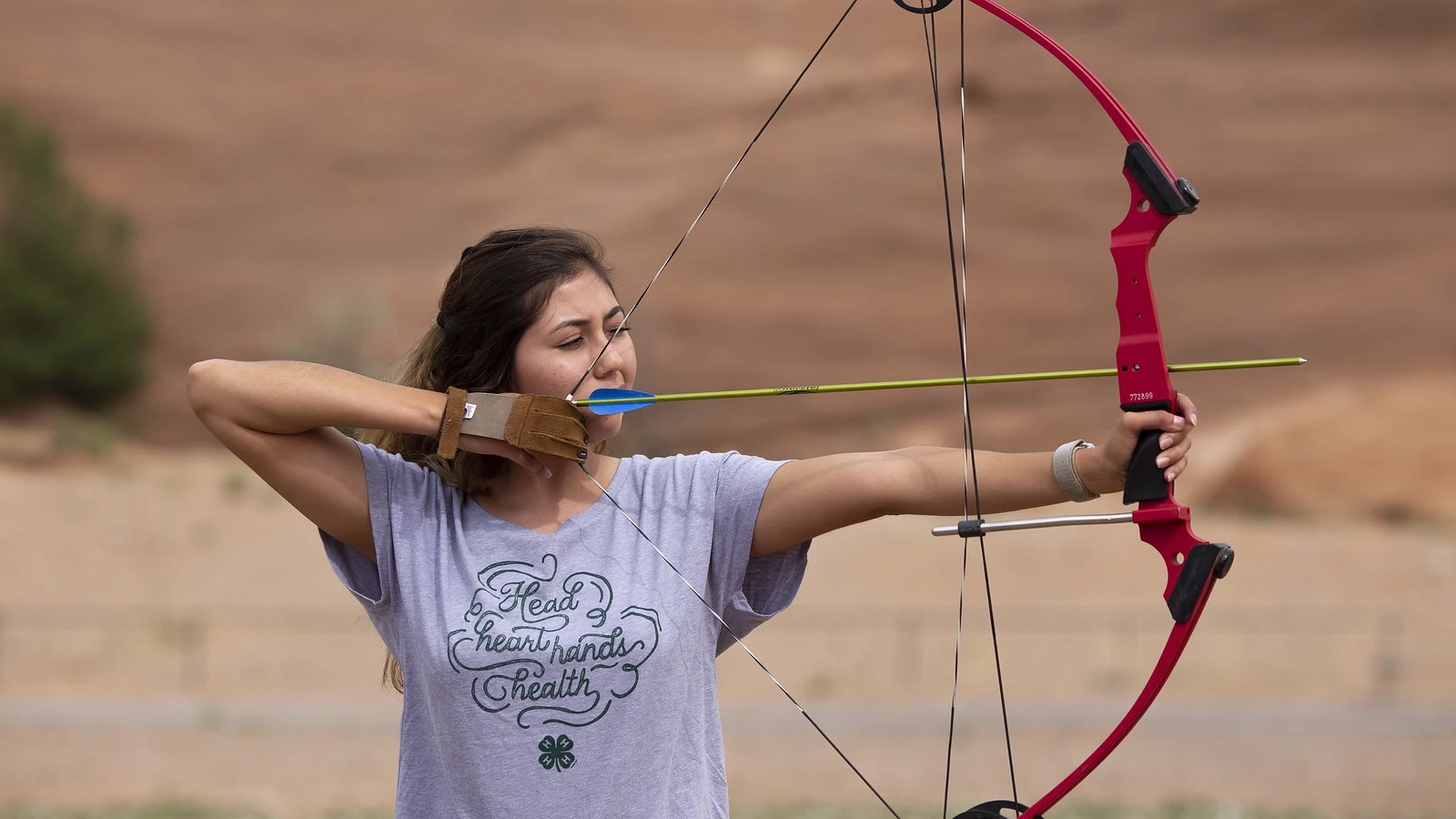 4-h horse and shooting sports photos for website