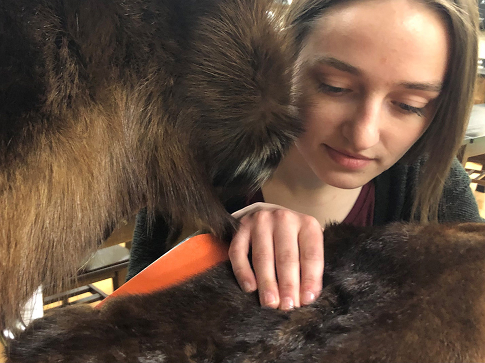 Woman examining moose fur for ticks.