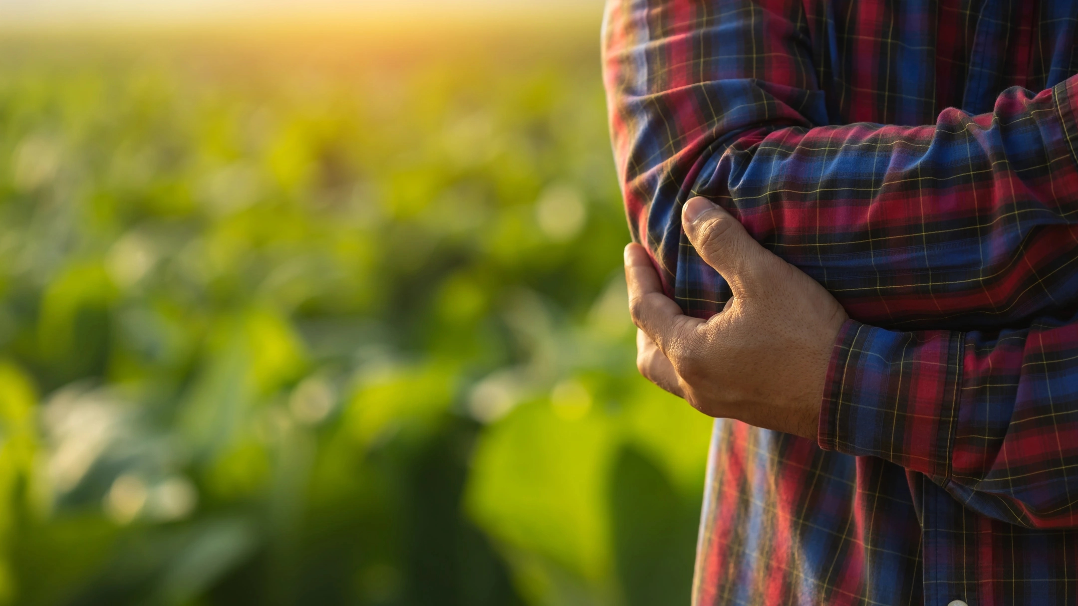 Injuries or Illnesses, that can happen to farmers while working. Man is using his hand to cover over elbow because of hurt,  pain or feeling ill. Health of agriculturist concept.