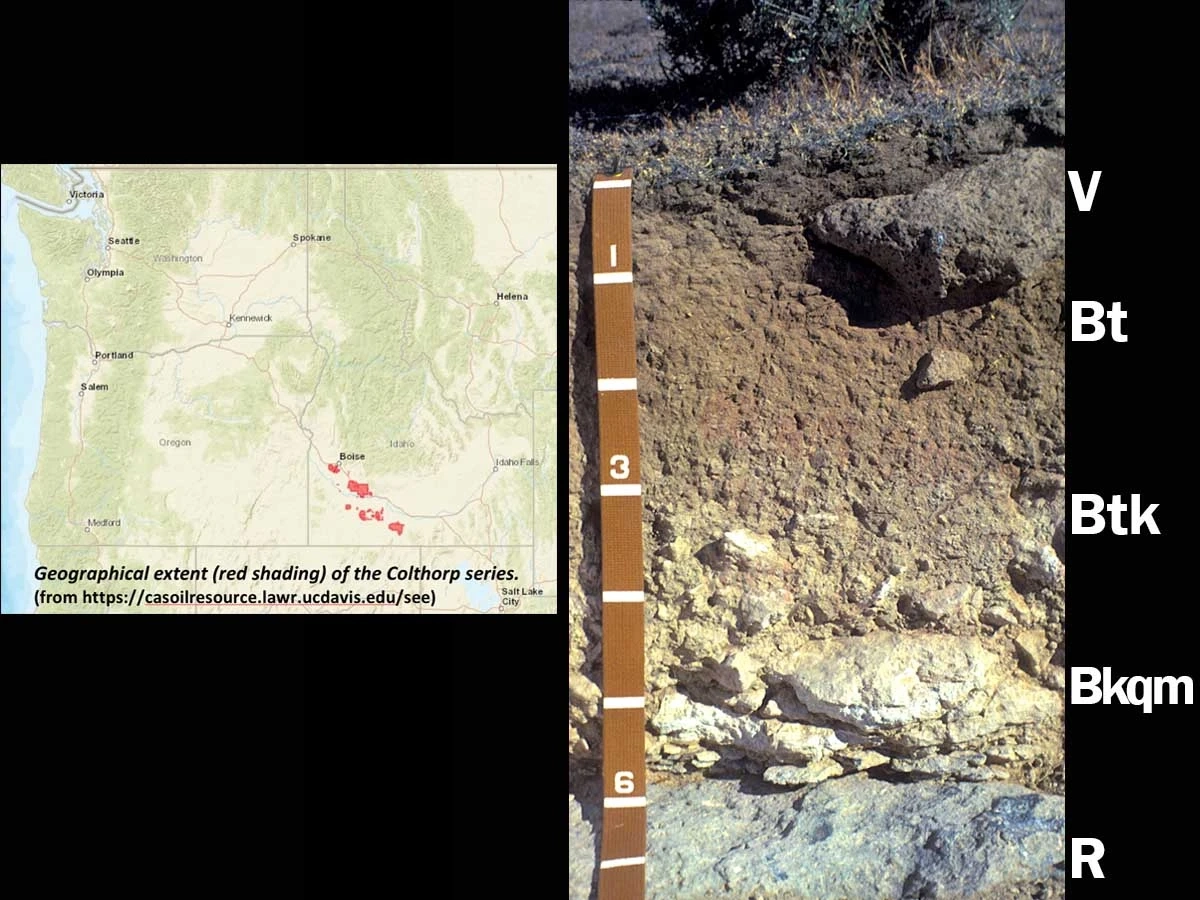 A photo showing aridisols of xeric argidurid