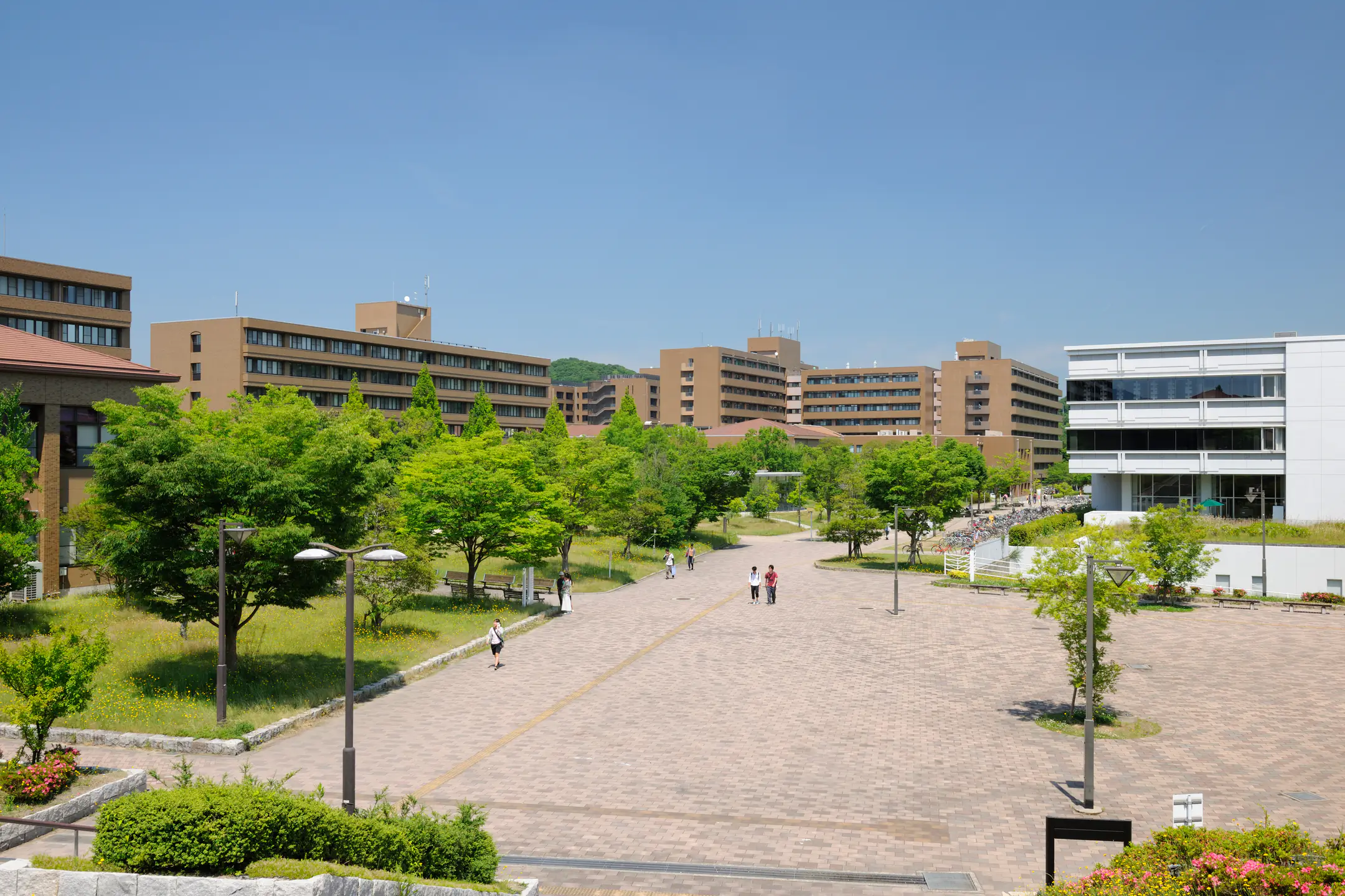 Cobbled walkway and courtyard with lawn and trees on HU campus