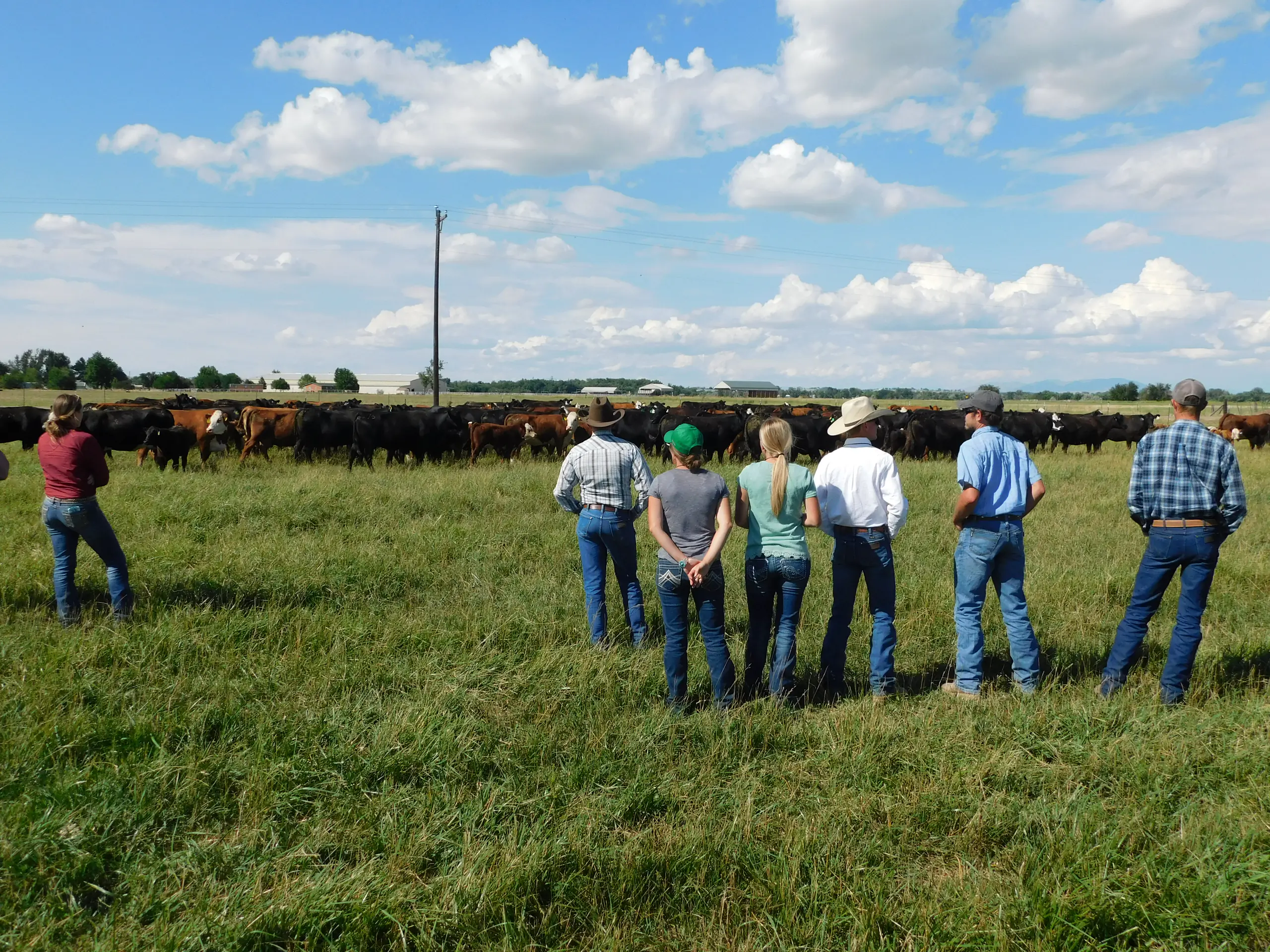 University of Idaho Extension events files