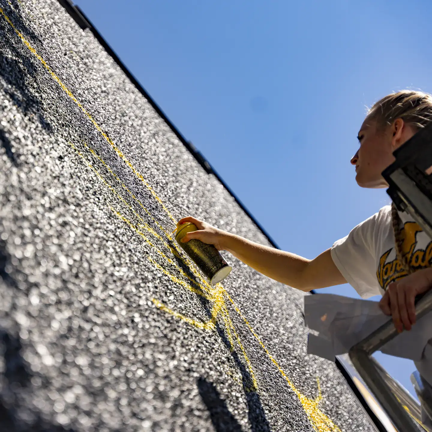 College of Art and Architecture Alumni, Mikaela Herrick, continuing the mural painted on the Prichard Art Gallery downtown Moscow, Idaho.