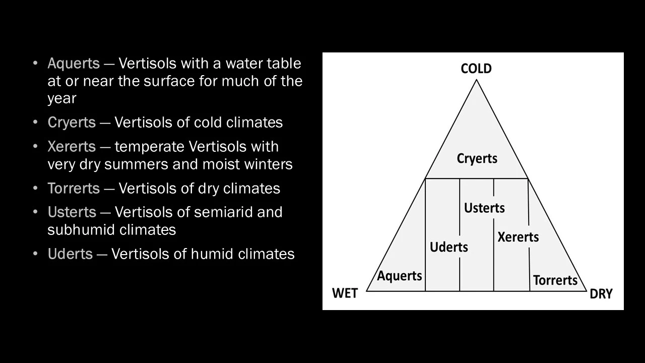 A diagram showing the six suborders of vertisols