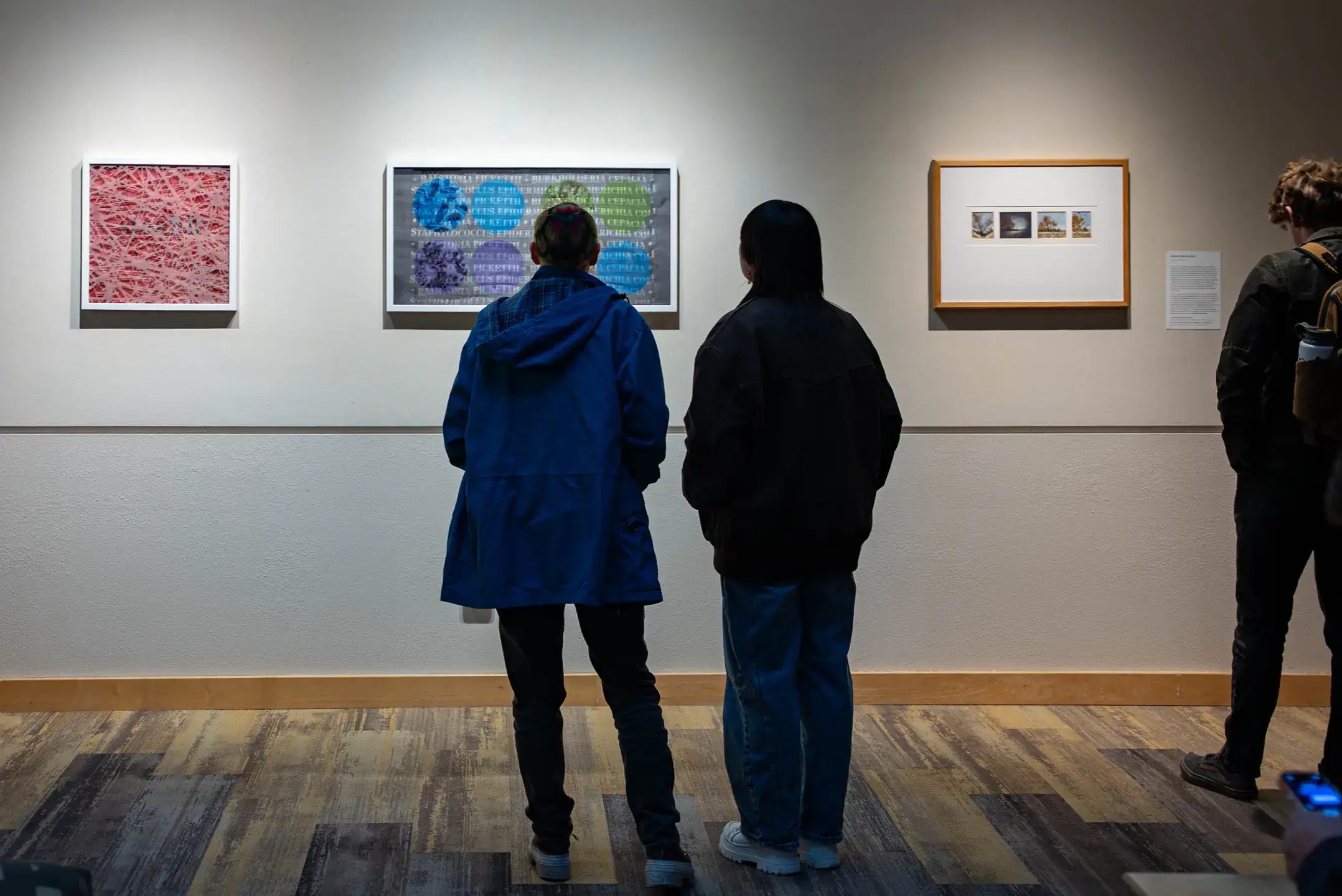 The Health of the Nation - INBRE Art Exhibition is photographed in the Reflections Gallery in the Idaho Student Union Building (ISUB) on Thursday, January 22, 2026. INBRE funded science faculty and Art and Design faculty, worked together to transform cutting-edge research into compelling artwork. Pictured from left are “Stealth” and “Adhere/Resist” by Delphine Keim and Sally Graves Machlis, College of Art and Architecture, Department of Art and Design; Dr. Matthew Bernards, College of Engineering, Department of Chemical and Biological Engineering; and “Altered Observation” by Aaron Cordell Johnson, College of Art and Architecture, Department of Art and Design; Dr. Diana Mitchell and Dr. Deborah L. Stenkamp, College of Science, Department of Biological Sciences.