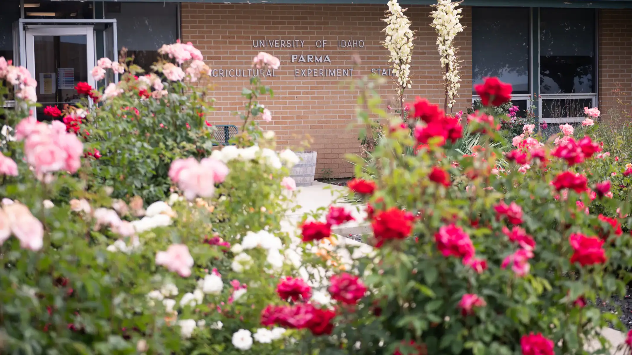 University Communications and Marketing Statewide tour 2020