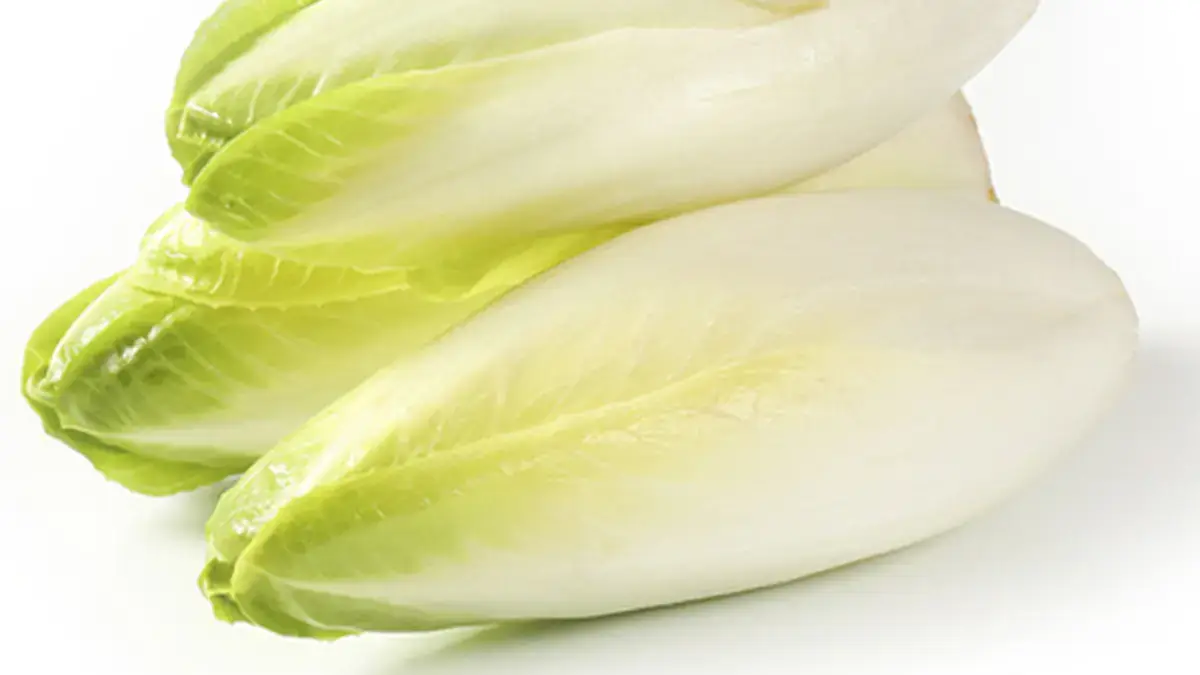 Landscapes and Gardens photos