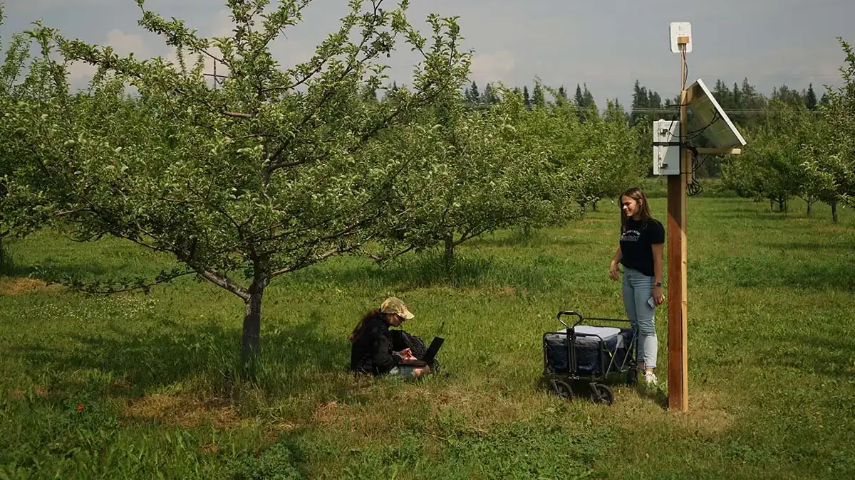 A student works on a computer under an apple tree while another student stands under a solar-powered pole.