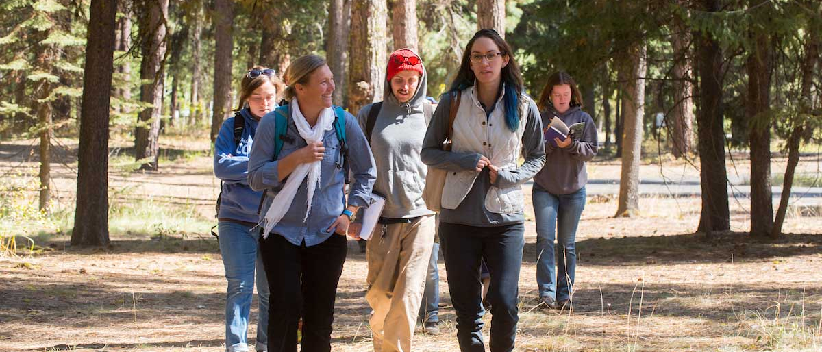 Six graduate students walking in the forest, with notebooks under their arms.
