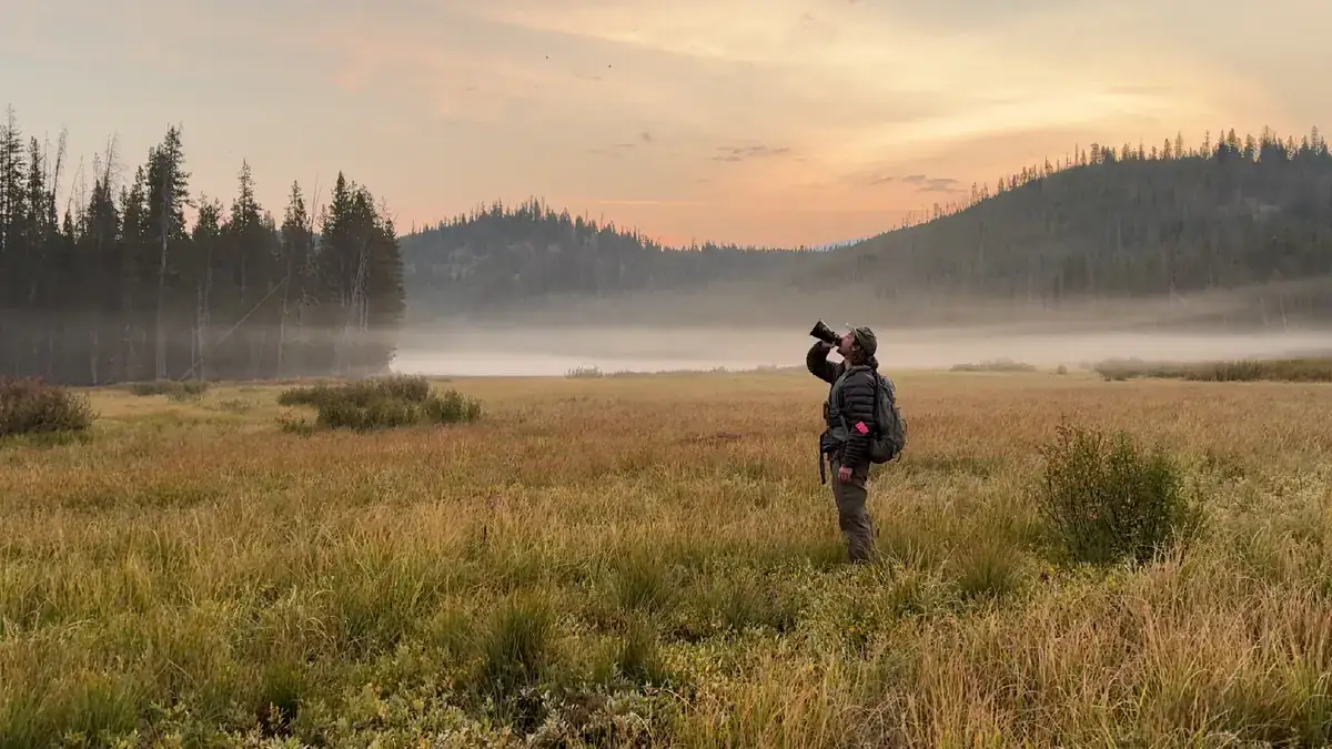 Person stands in misty meadow using a funnel to make wolf sounds.